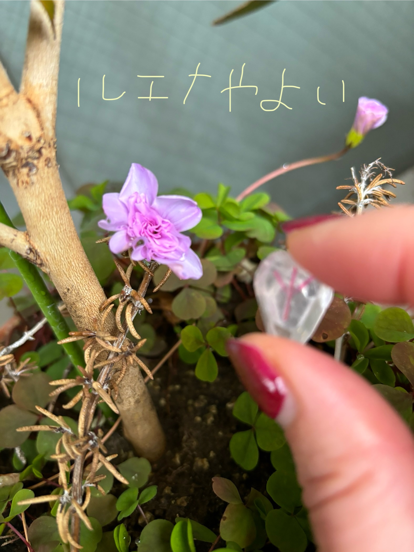 1月1日のルーン