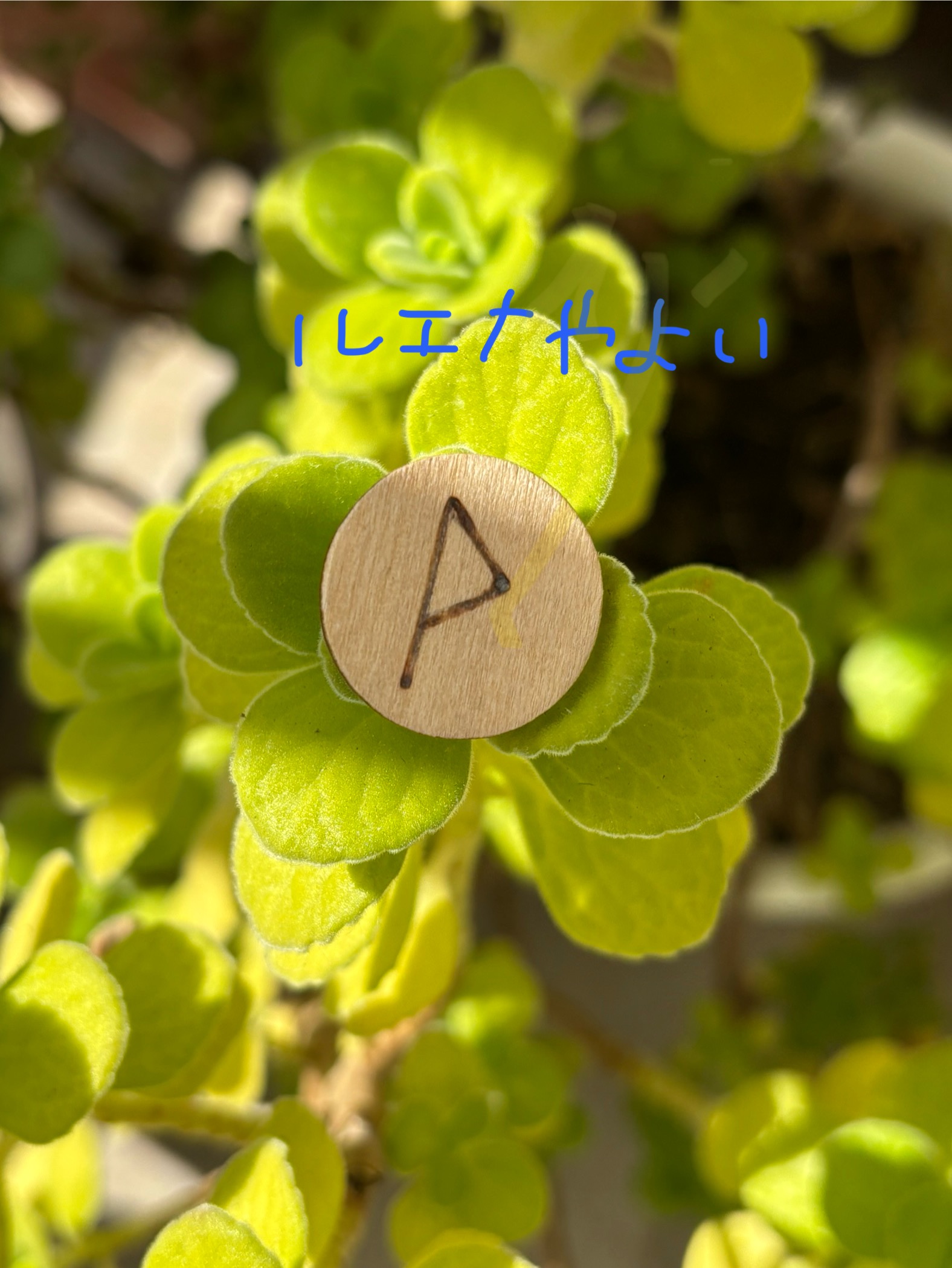 12月13日のルーン