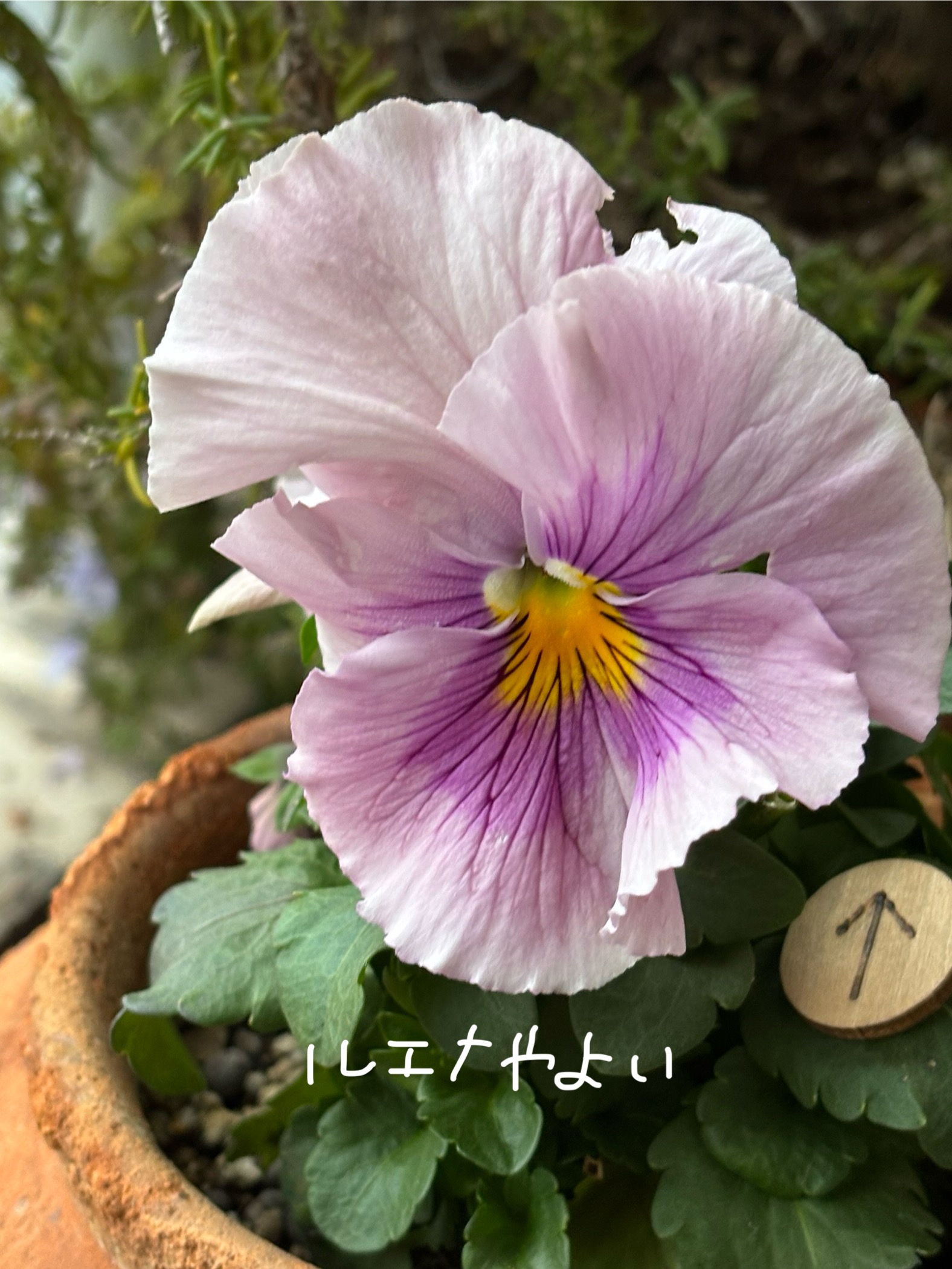 3月10日のルーン