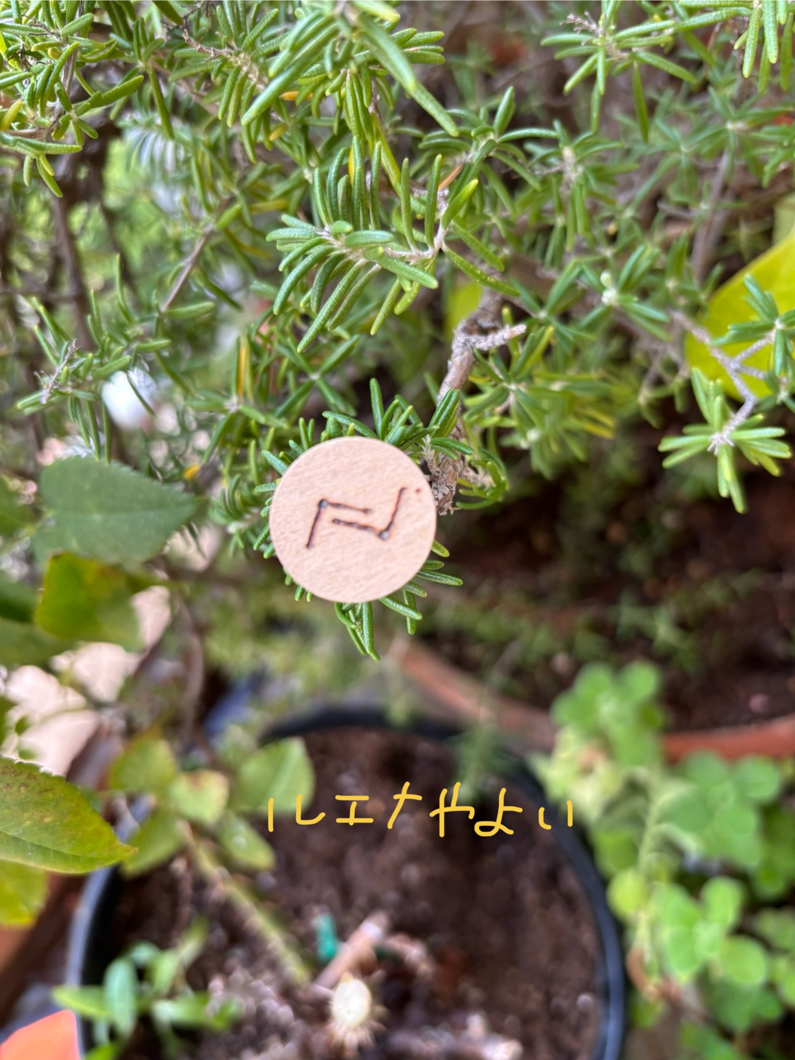 11月1日のルーン