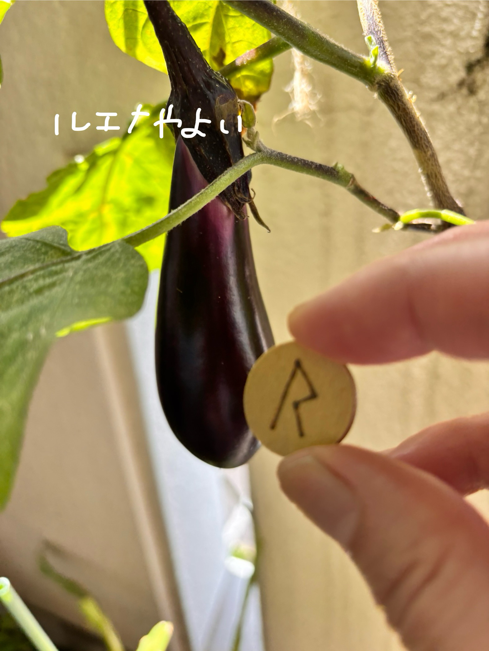 7月18日のルーン