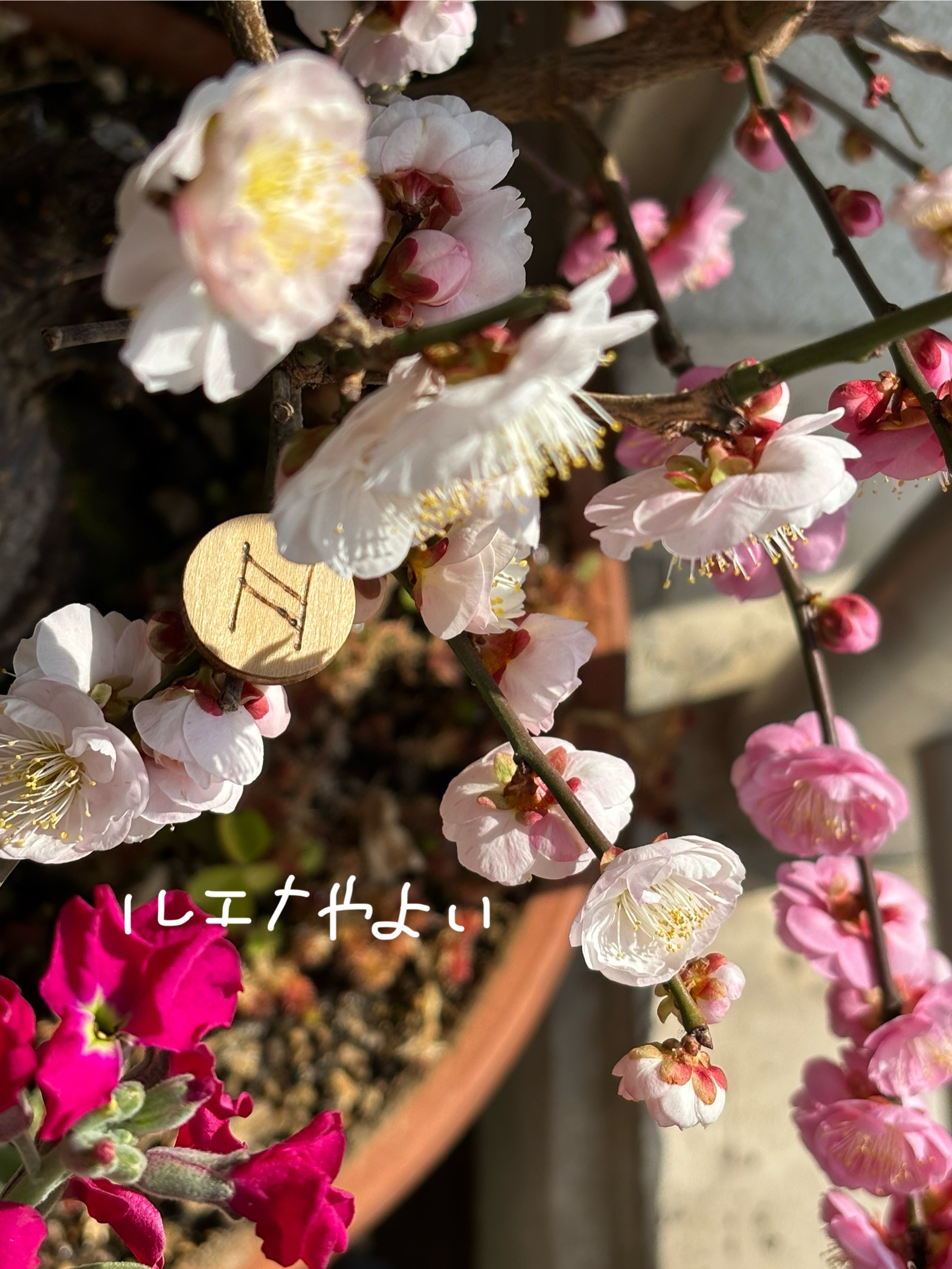2月18日のルーン