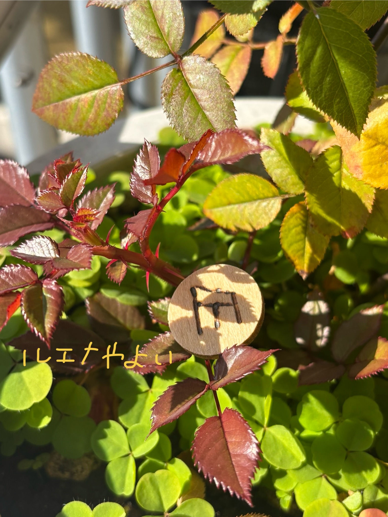 12月8日のルーン