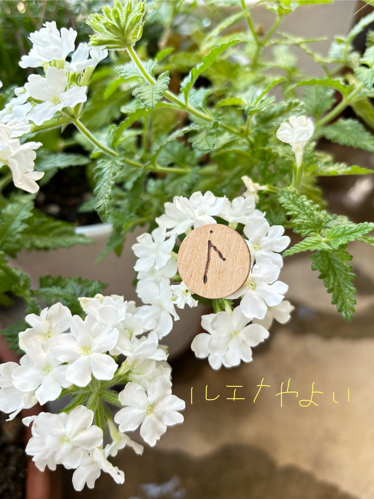 7月28日のルーン
