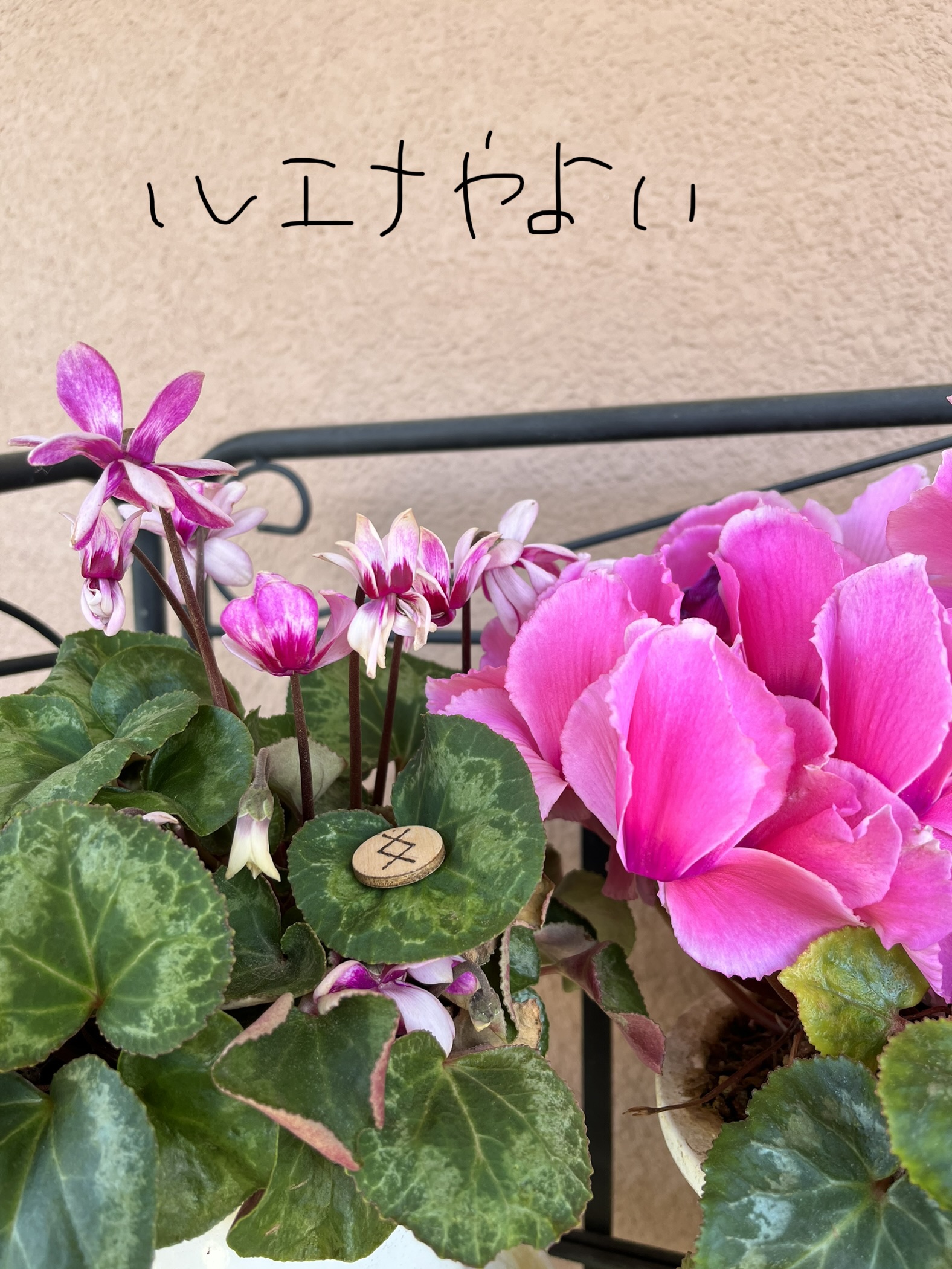 4月30日のルーン