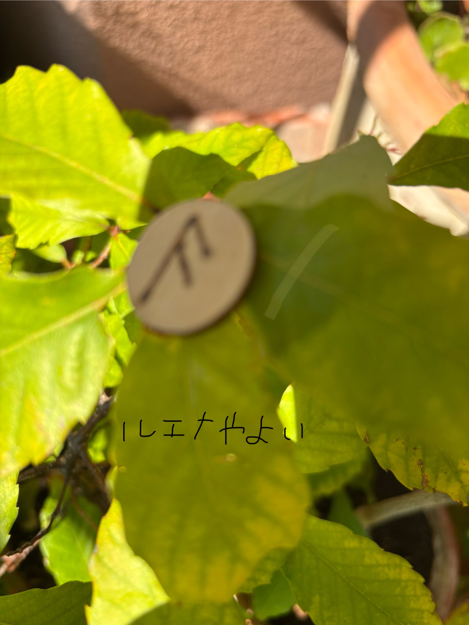 10月3日のルーン