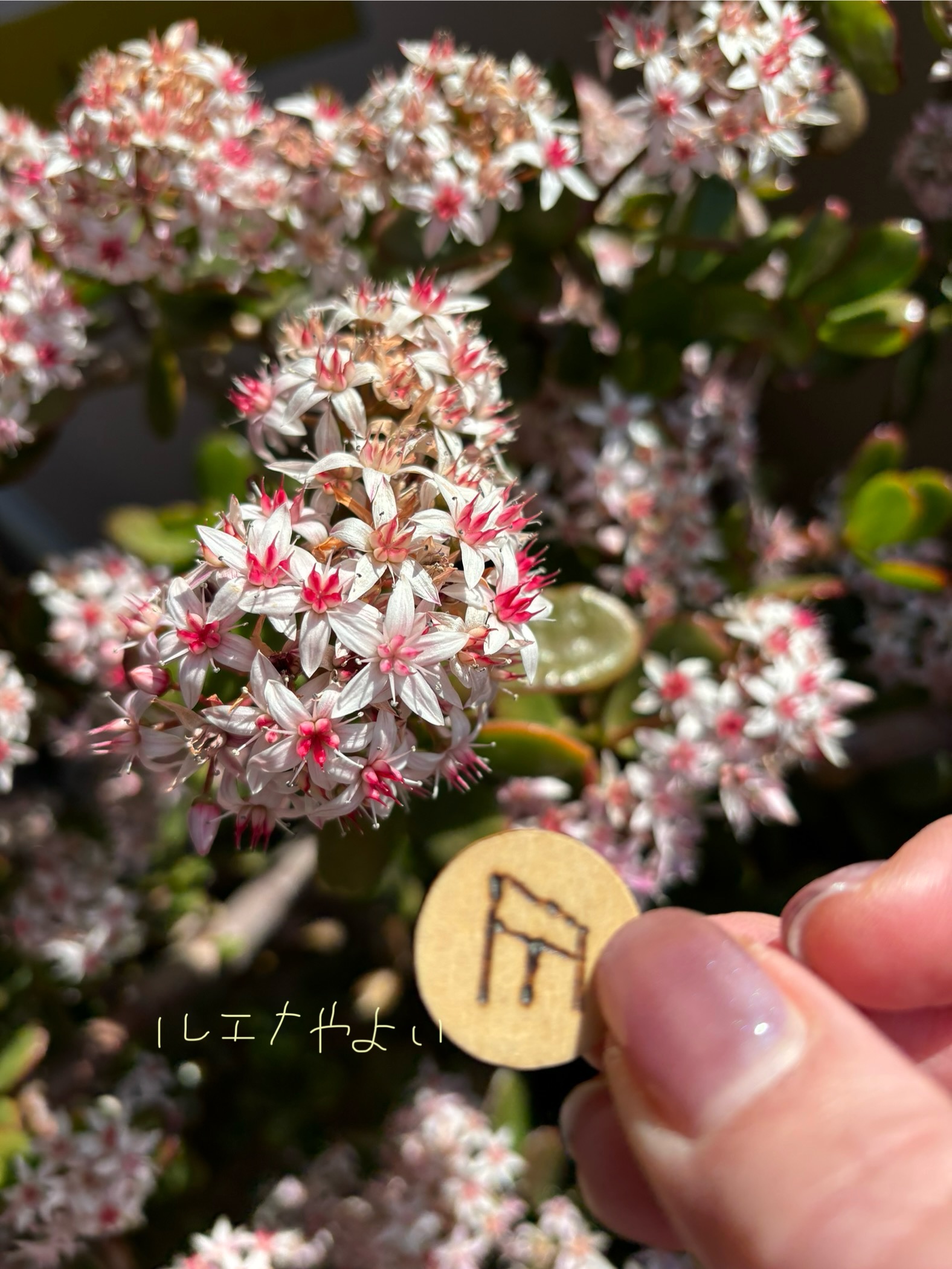 3月6日のルーン