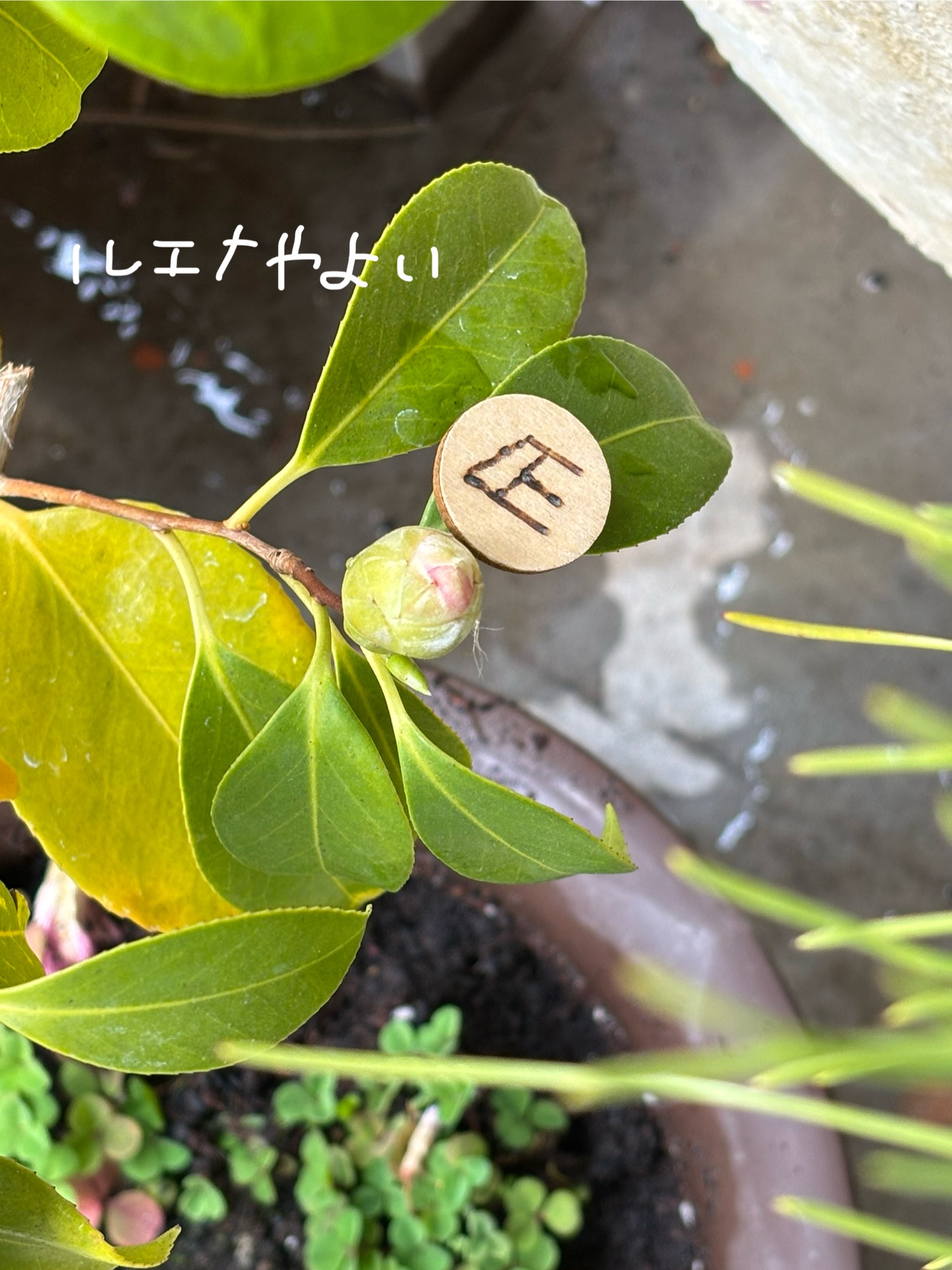 3月27日のルーン