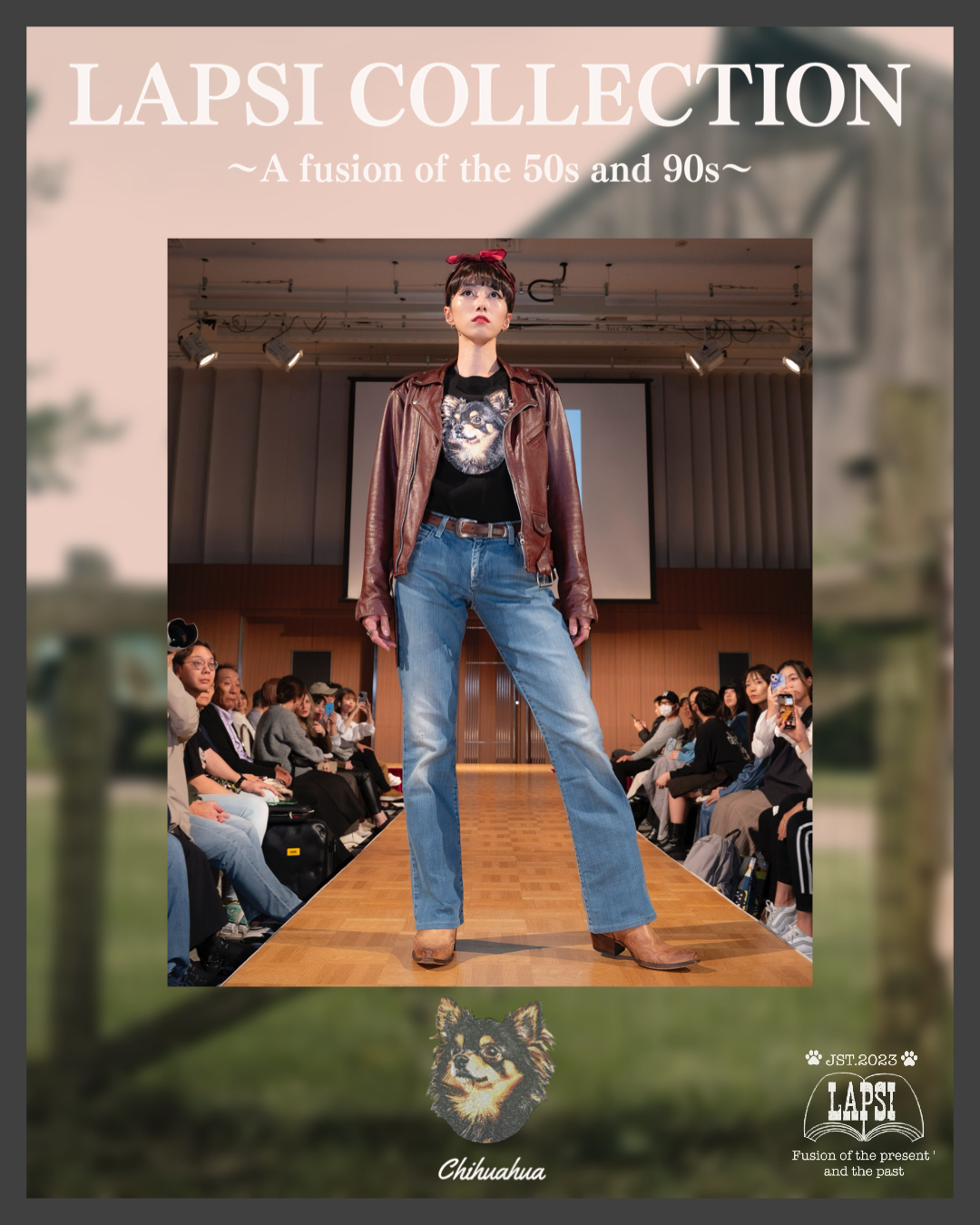 LAPSI Collection No.001