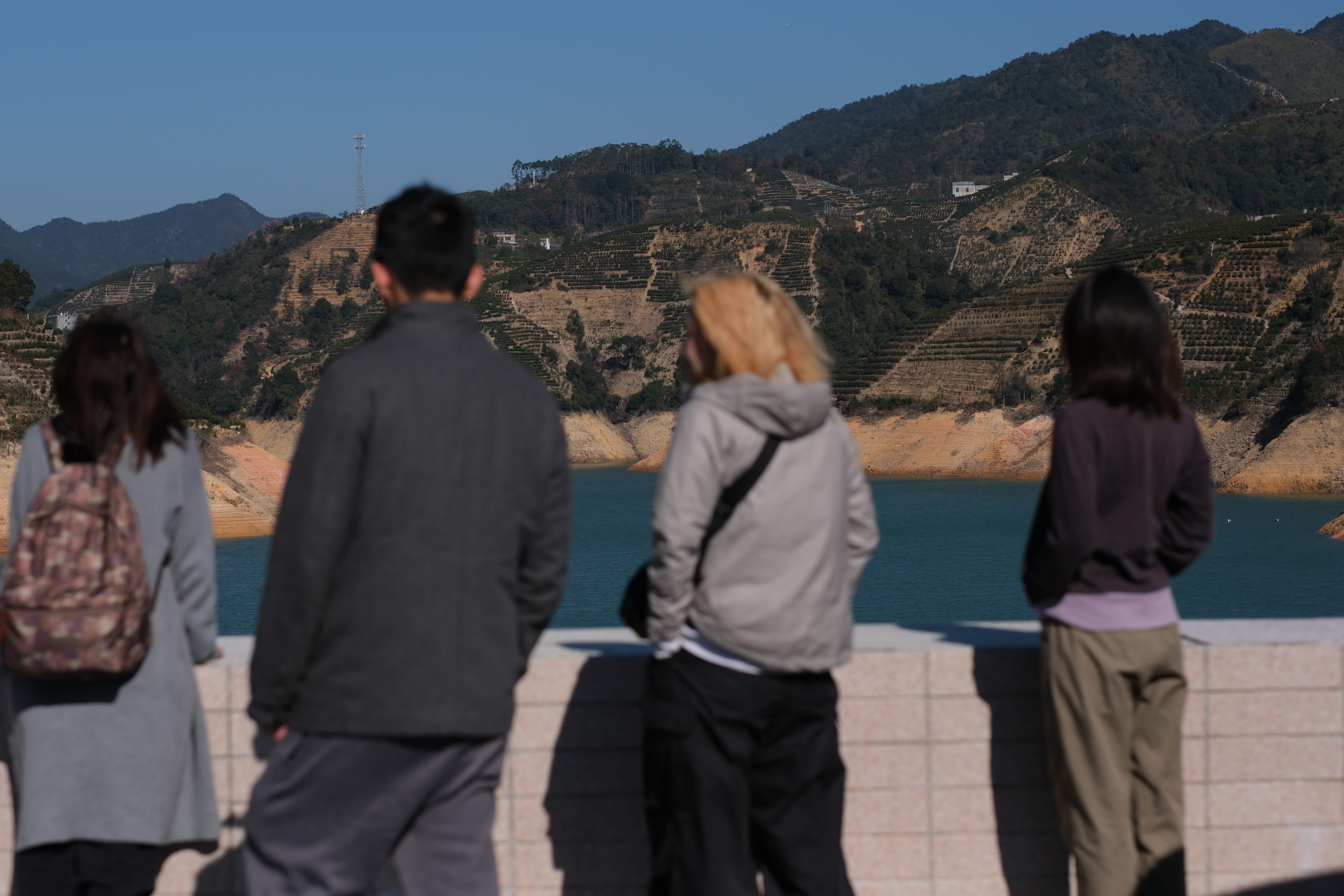 無理して買わないでください──茶樓雨香からの正直なお話【2月17日春節福袋のご案内】
