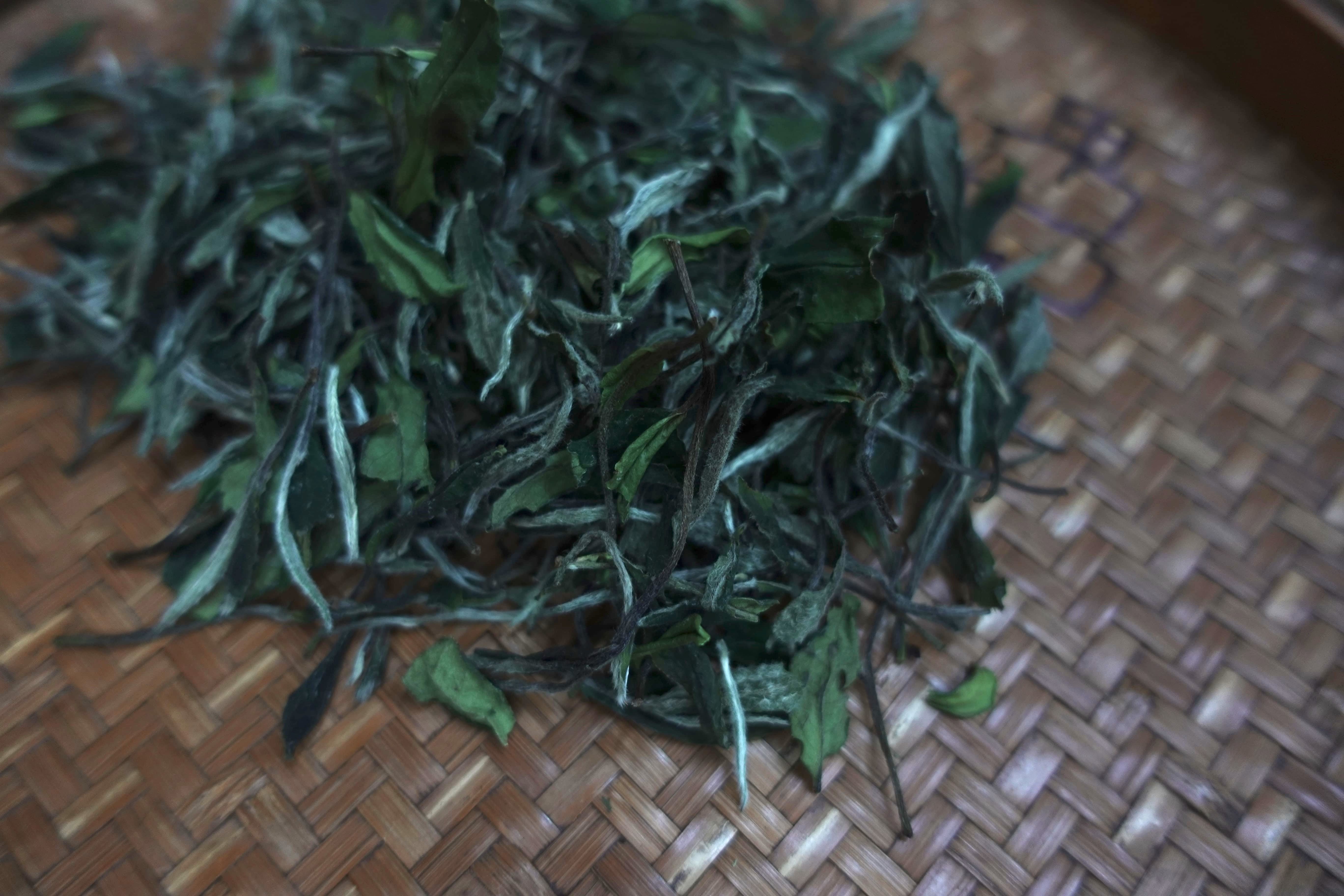 晩夏に飲みたいお茶ってなんだろう？