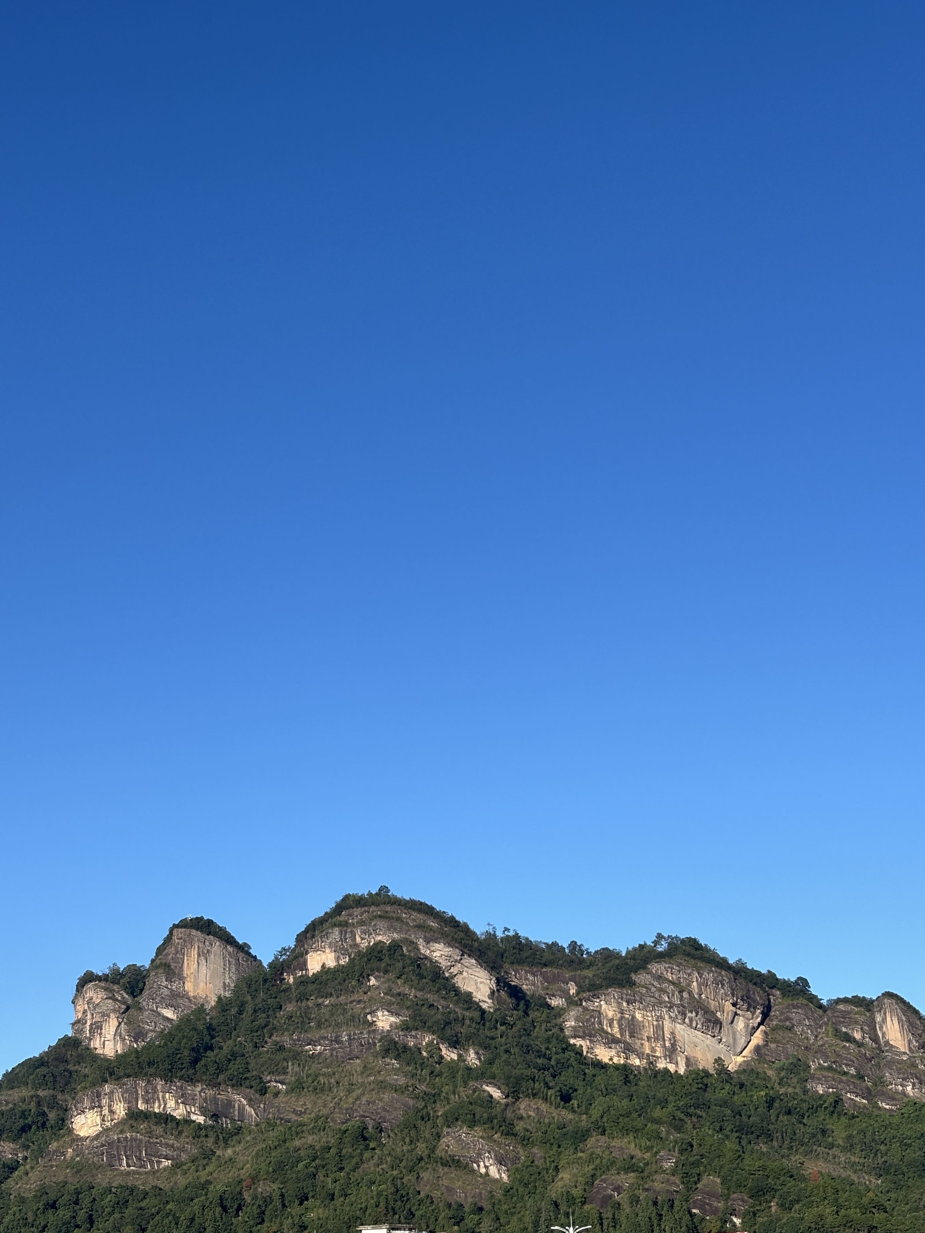 【通販&大大阪お茶会にて同時限定販売】武夷山の外側から語りかける岩茶シリーズ