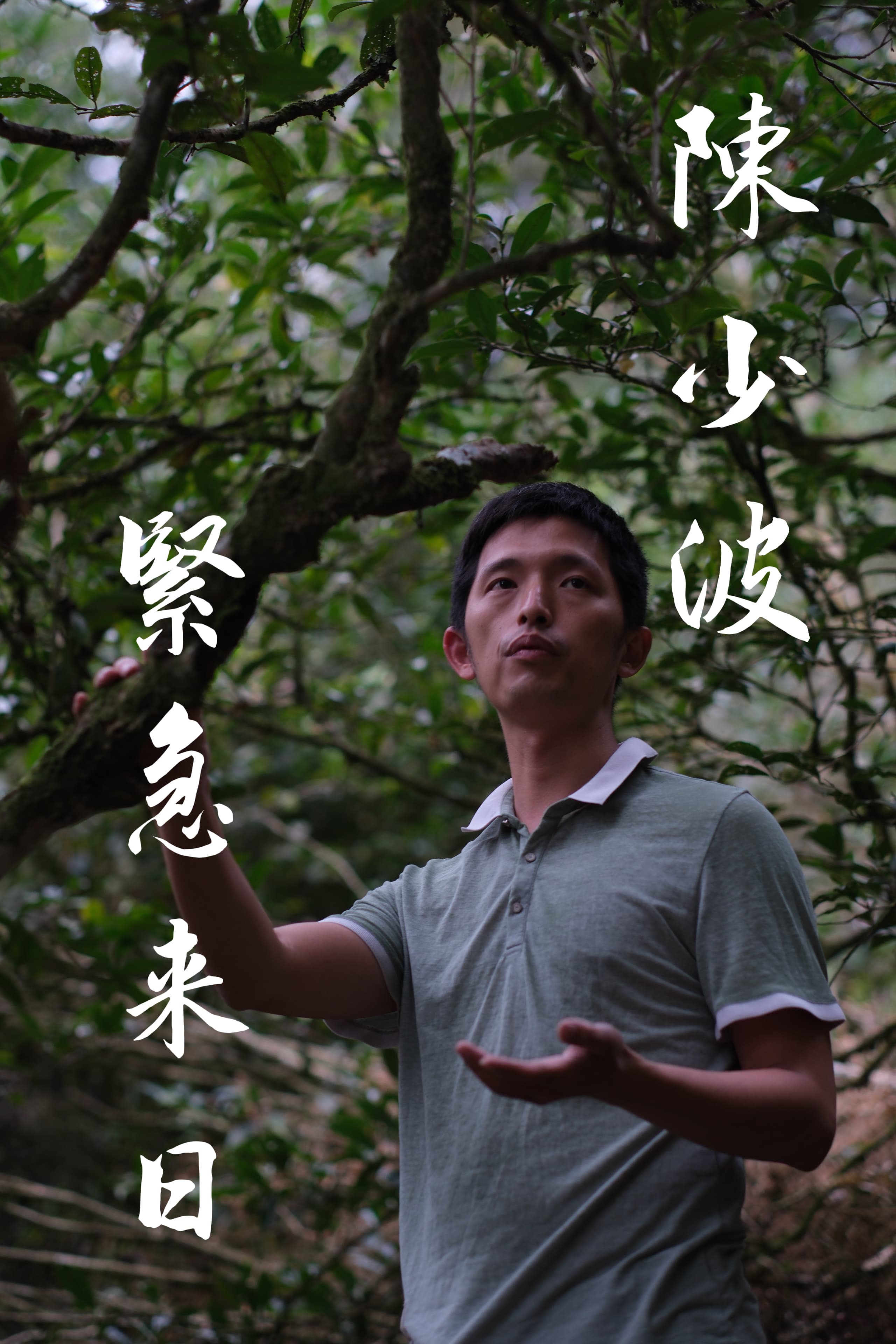エコ茶会特別企画 〜第一弾〜 【陳少波 来日決定】