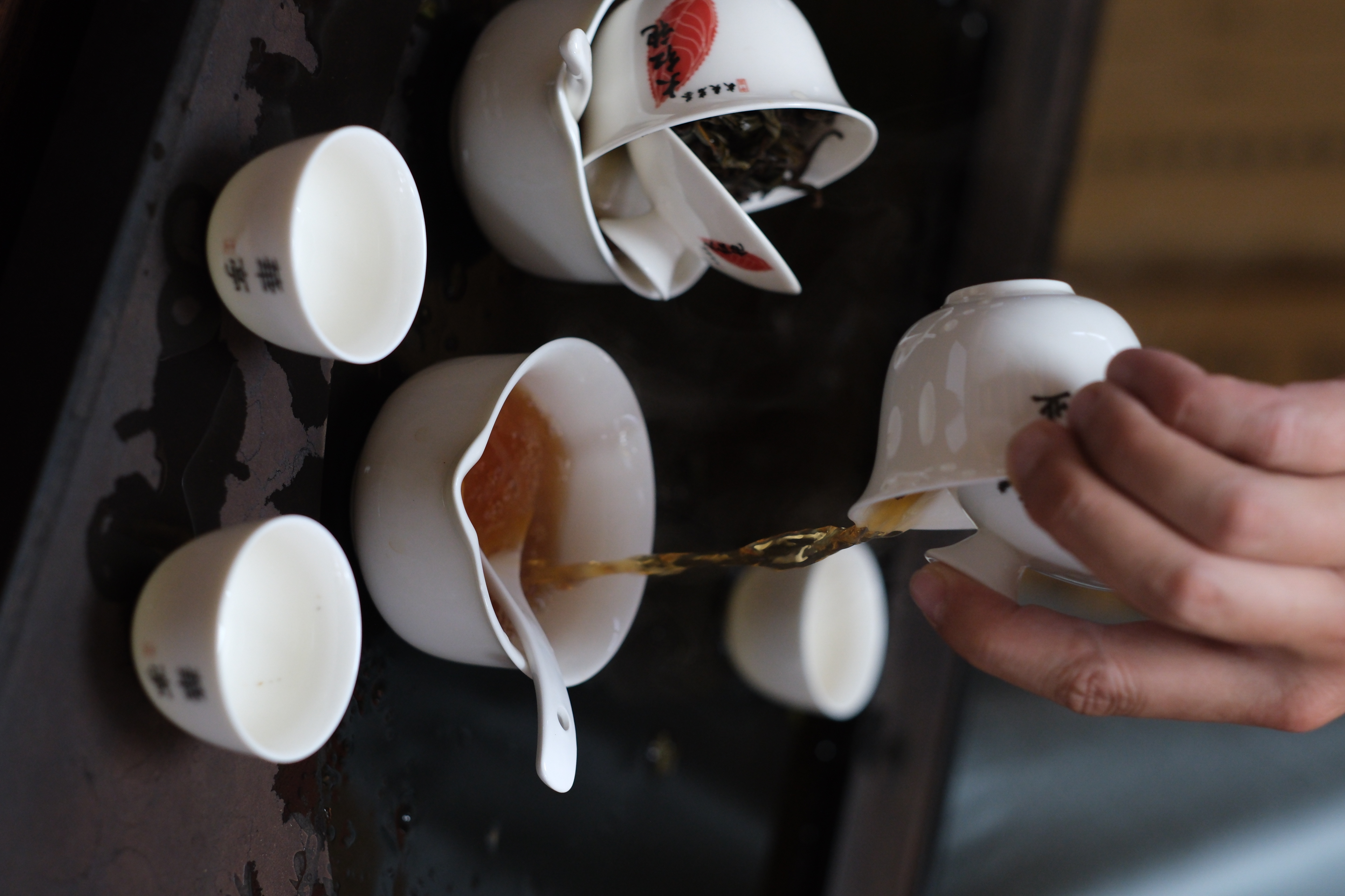 【全部新作福袋】〜最後に選んだ武夷岩茶たち編・前編〜 2026年2月17日販売開始‼️