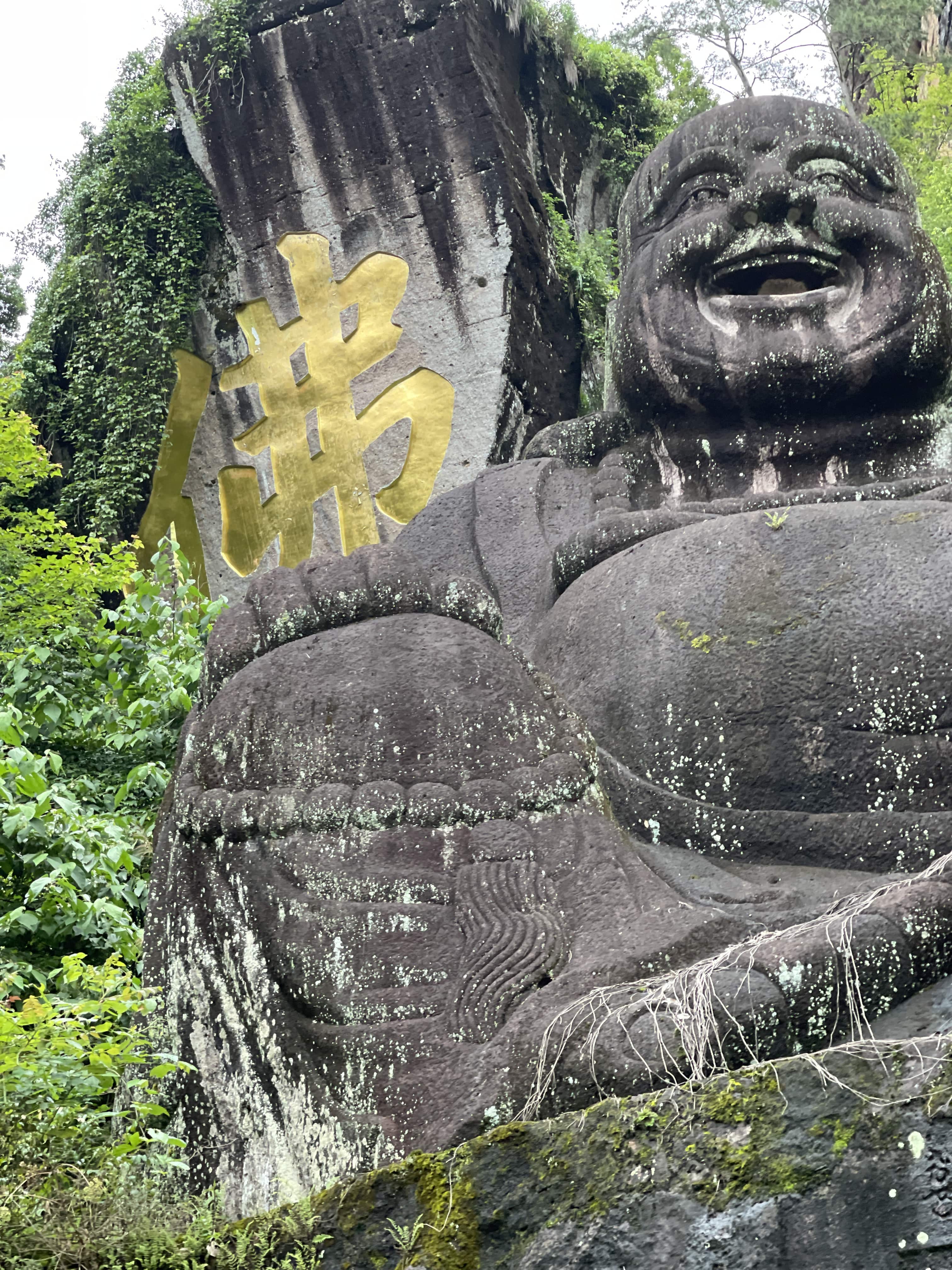 武夷岩茶の通販を開始します〜茶樓雨香が選ぶ武夷岩茶とは〜上の巻〜【18日(金)21:00より販売開始