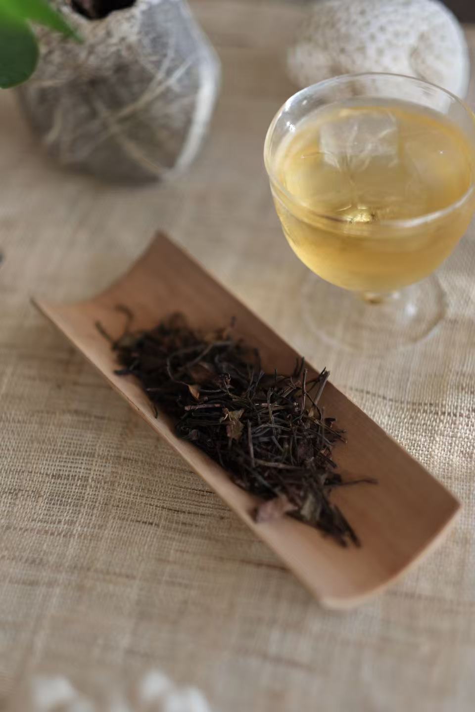 【2026年8月29日21時〜販売開始】鳳凰単叢 茶頭 冷茶のすゝめ