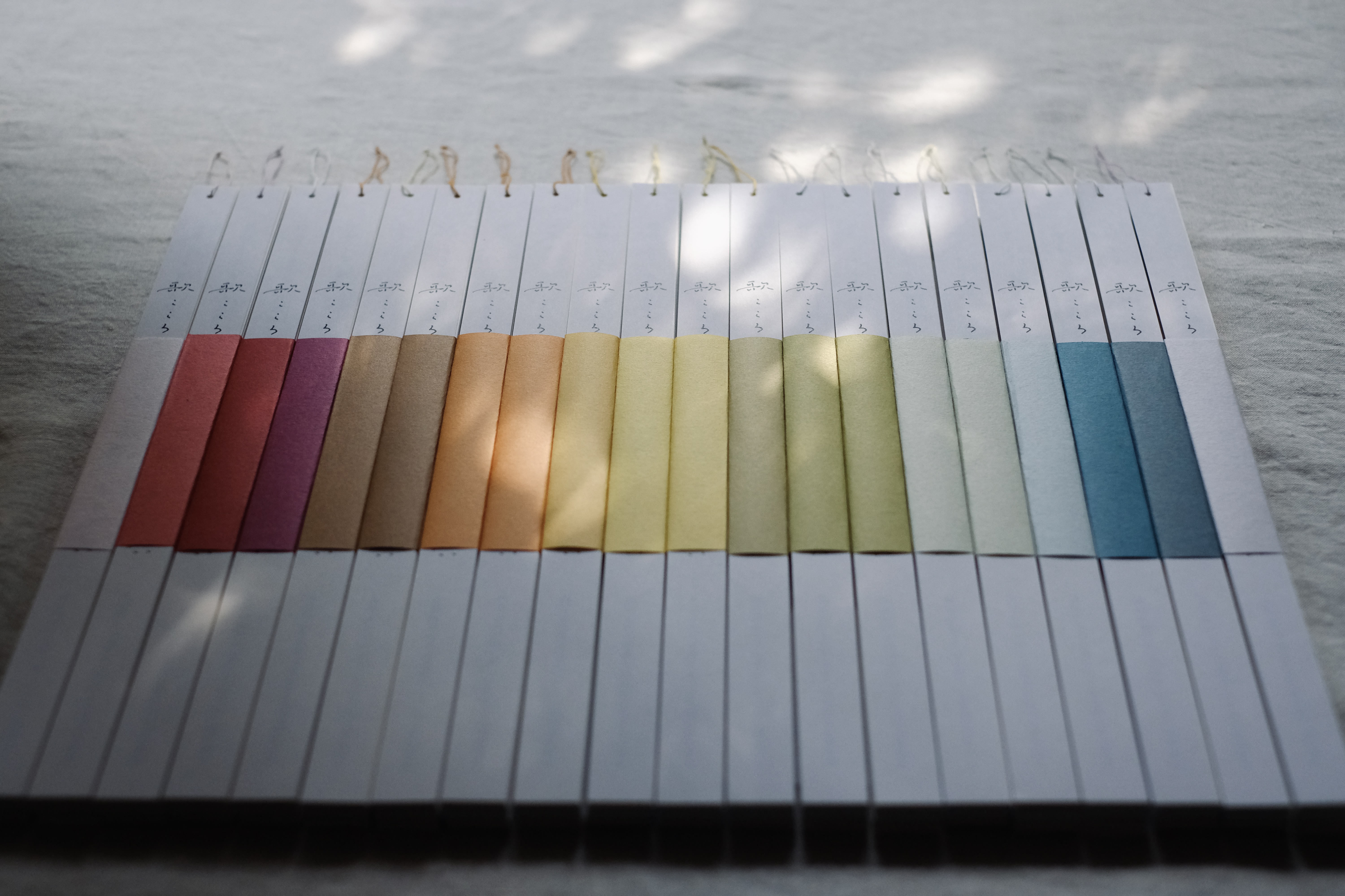 季節商品につきまして　2025.11.22