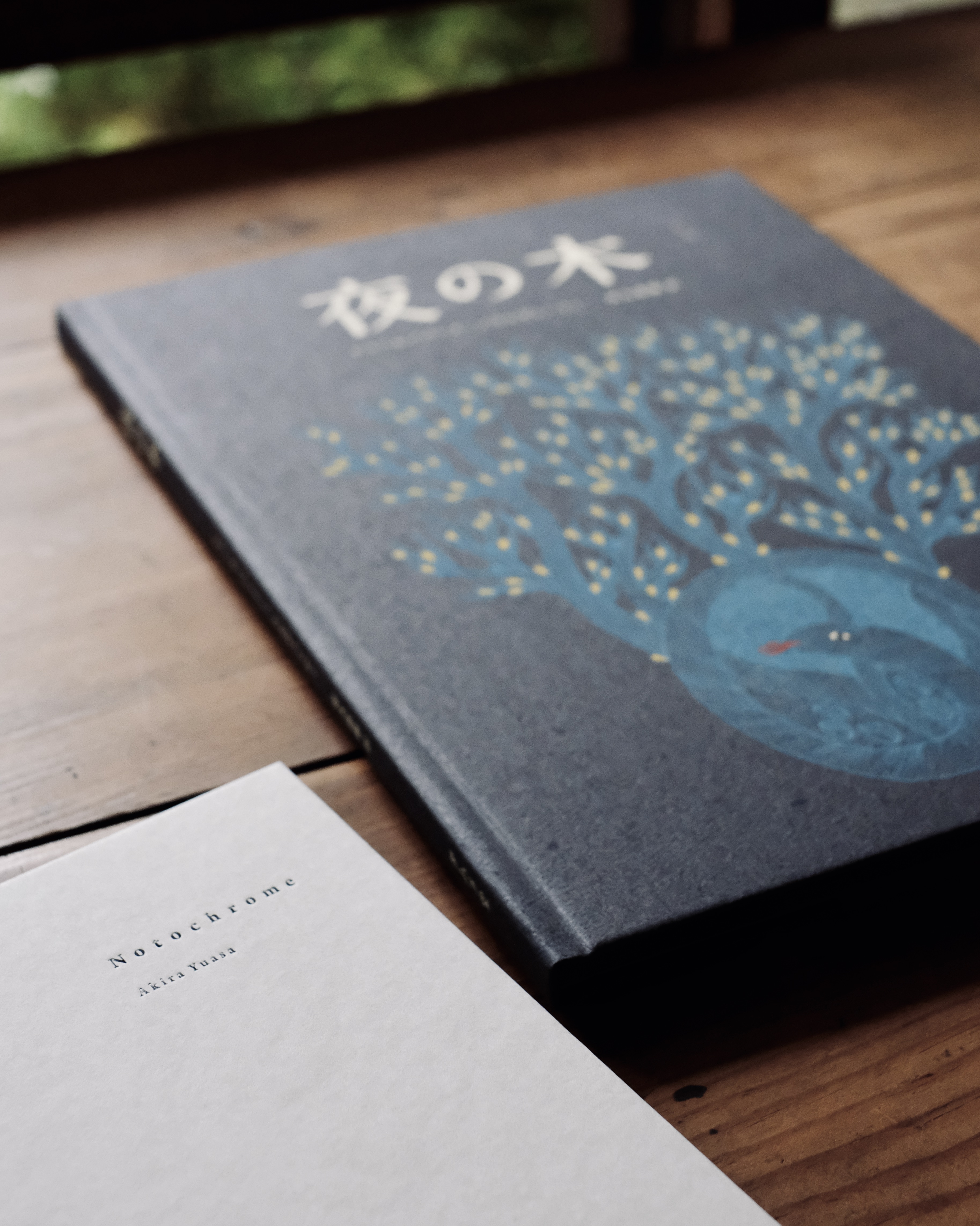 お知らせ　｜eavam展とeavam書店｜