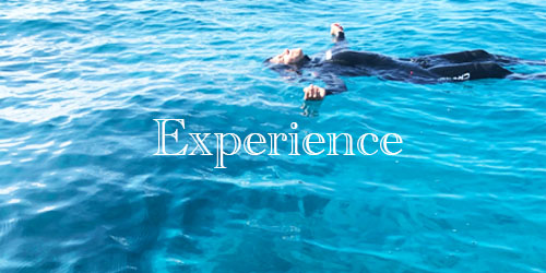 ”Free”diving Experience Okinawa / 沖縄”フリー”ダイビング体験