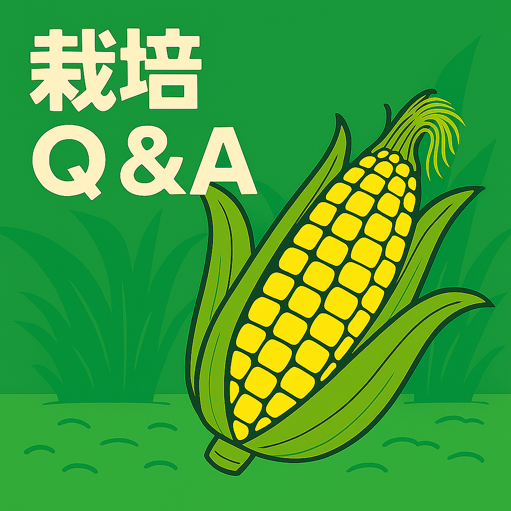 Ｑ＆Ａ　トウモロコシ栽培