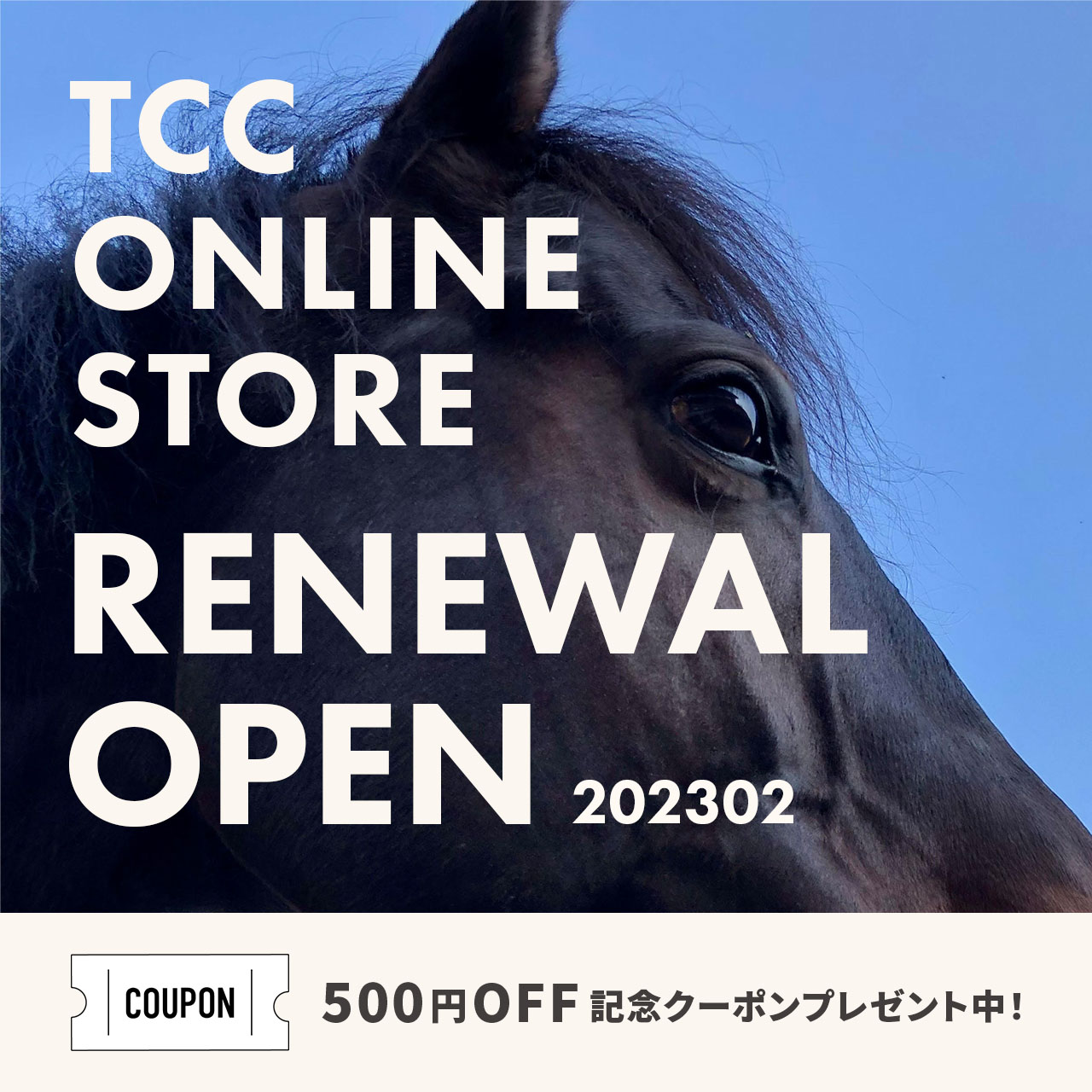 【NEW】TCC ONLINE STORE リニューアルオープン！