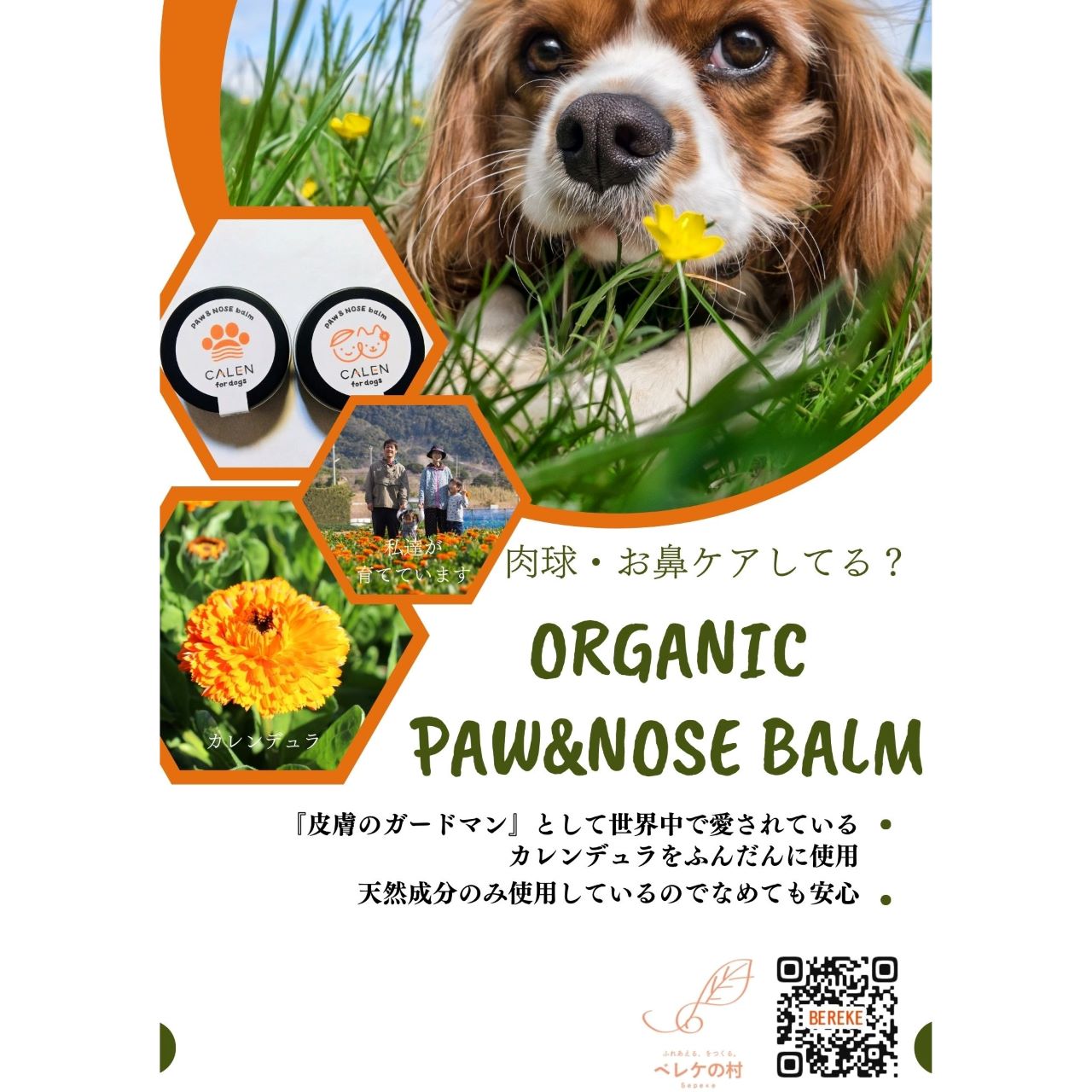ベレケの村かれんシリーズより犬用ケア用品の販売開始！