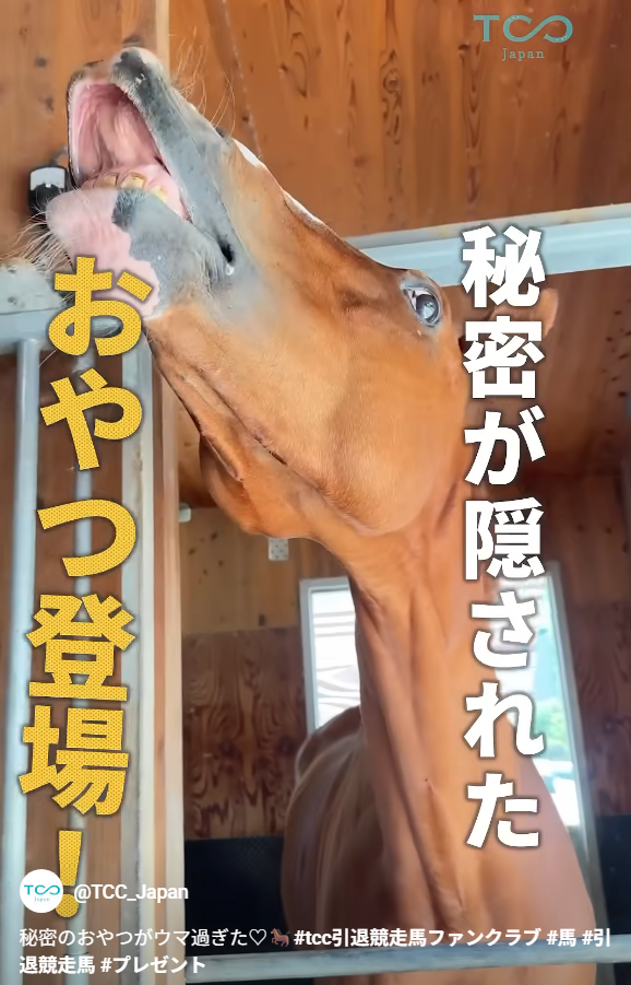 全国のTCCホースへのプレゼントにもおすすめ！馬ふん堆肥関連商品の馬用クッキーと牧草販売開始！