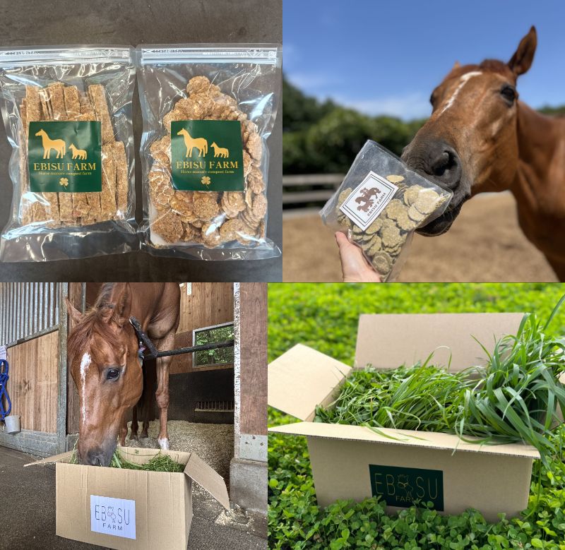 TCCホースへのプレゼントにもおすすめ!馬ふん堆肥関連商品の馬用クッキー好評販売中!