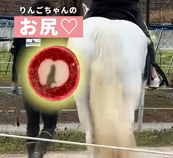 メタセコイアと馬の森オリジナルPAPABUBBLE販売開始！