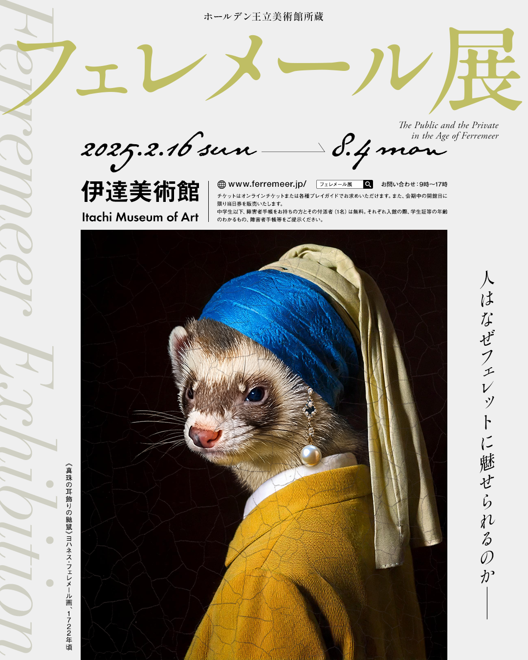 新作発表だぬ！