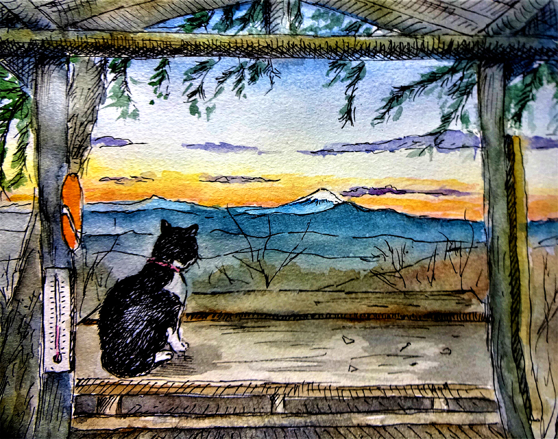 山小屋の猫