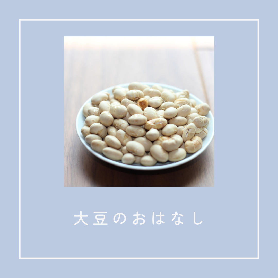 大豆のおはなし