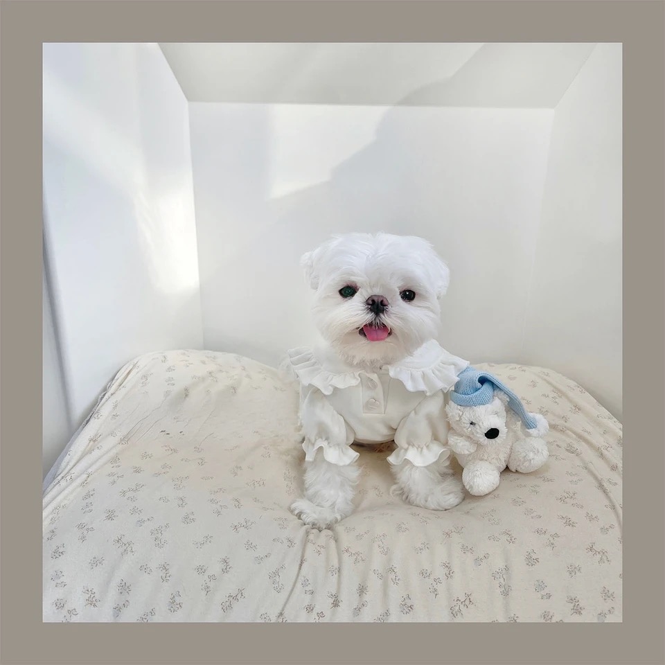 一点物です　　White