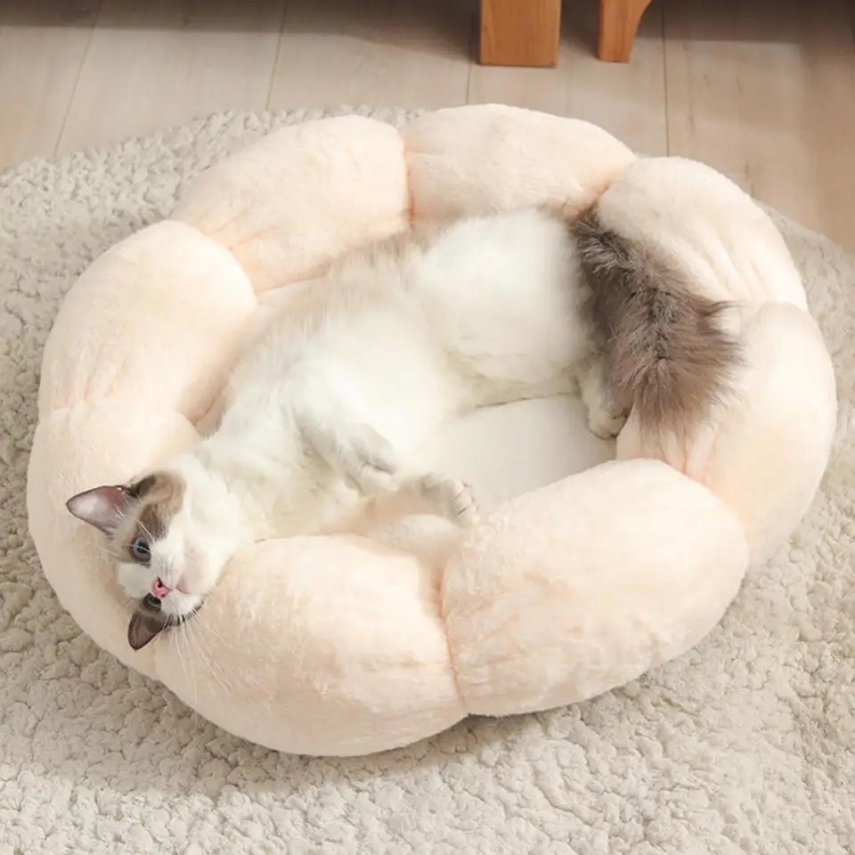 ほかほかクッション今が買い