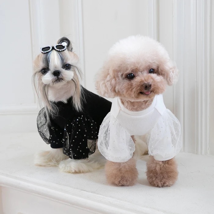 ♡オシャレすぎるTシャツ♡