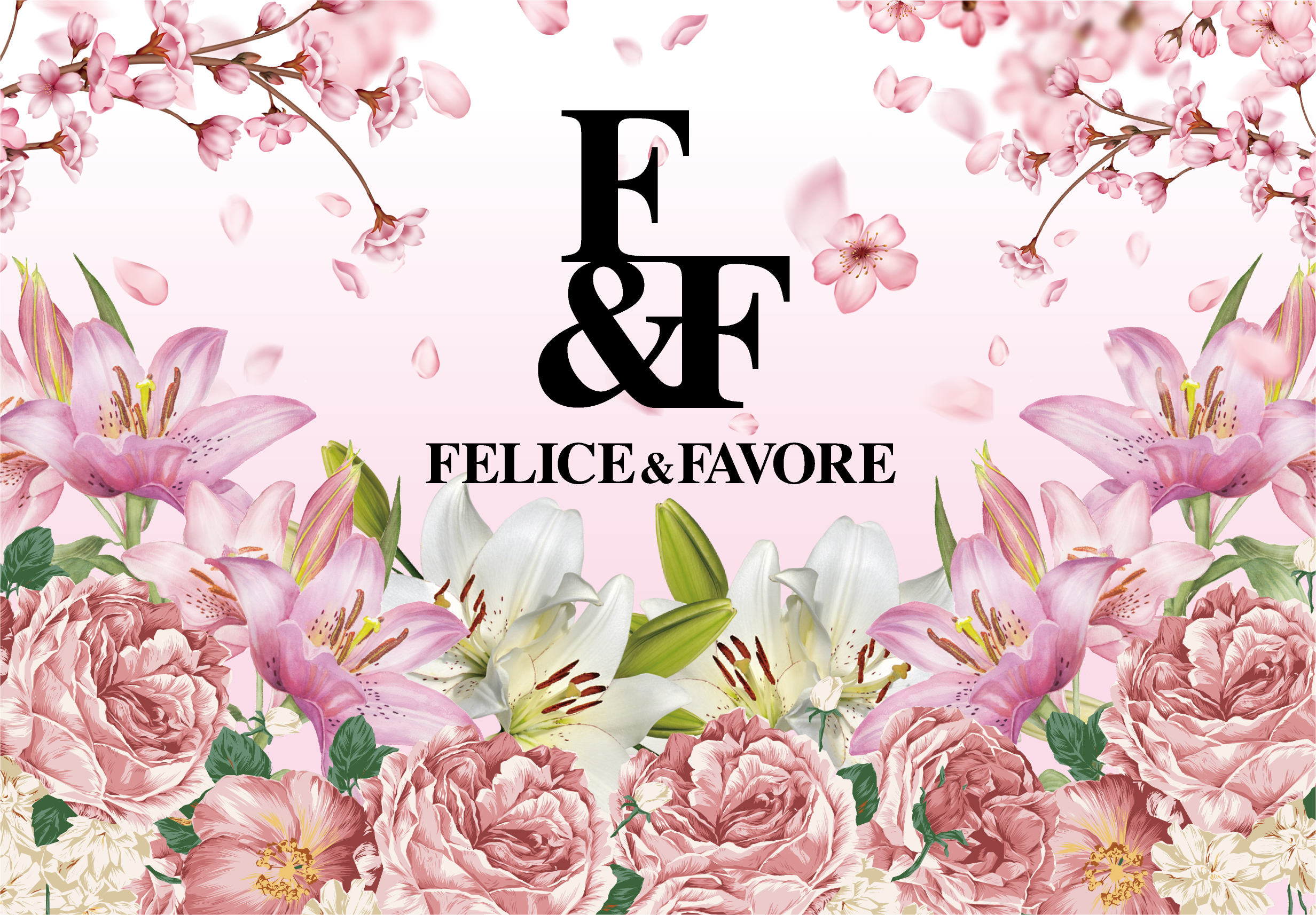 FELICE&FAVORE★New Open★