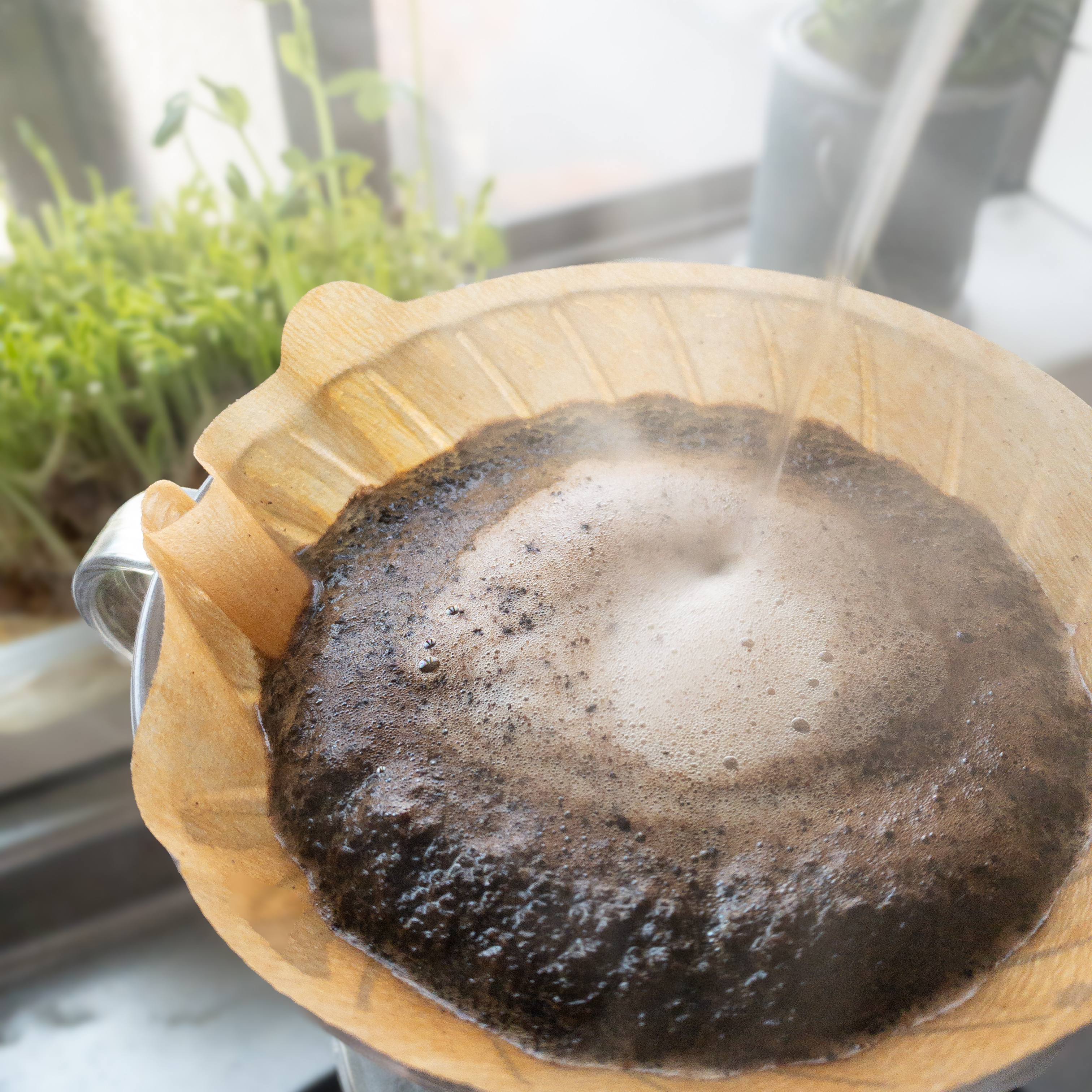 《発送日について》3/3〜3/9ご購入分