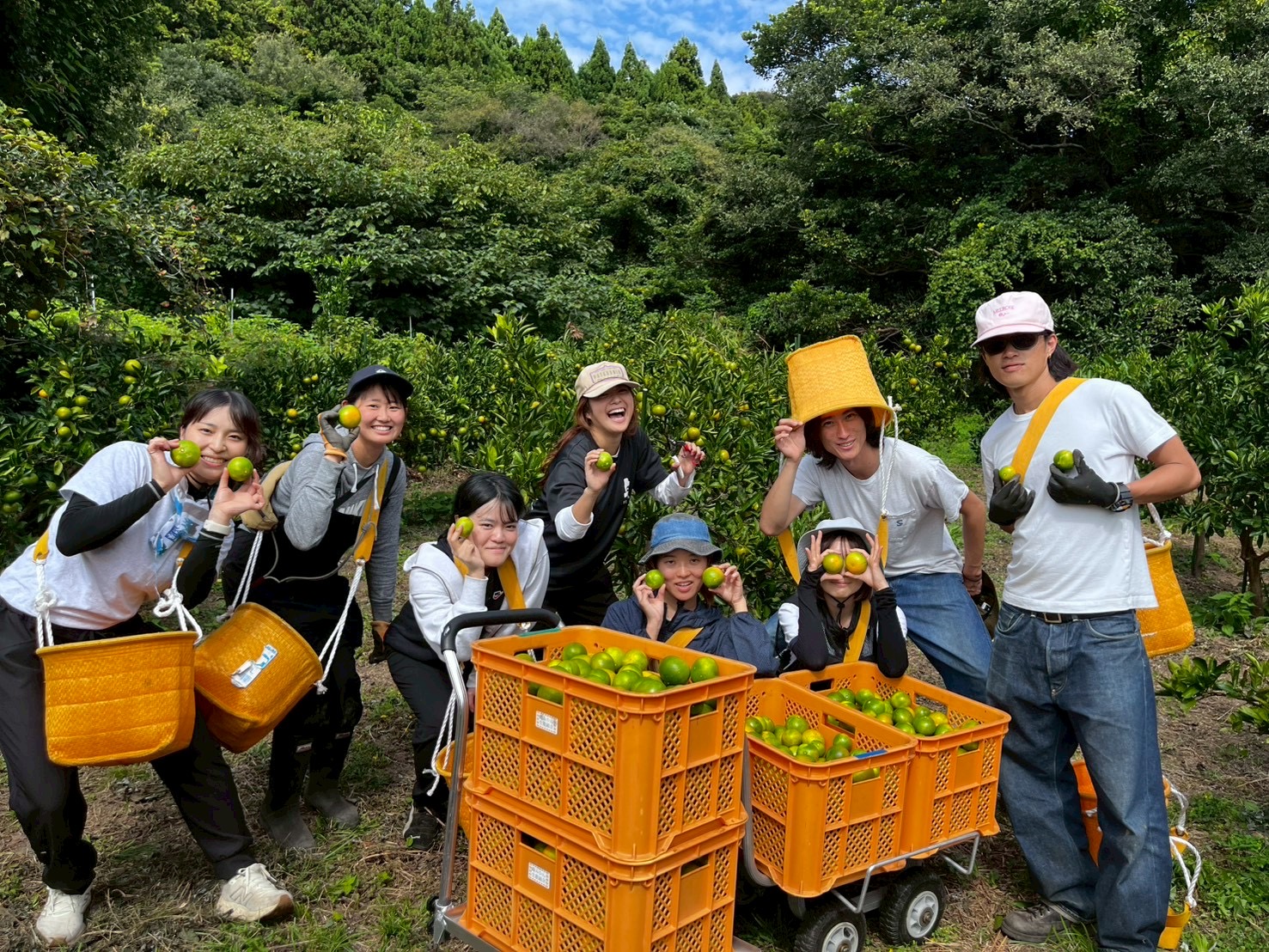 ゆら早生みかん🍊収穫始まりました!※追加のご予約に関して