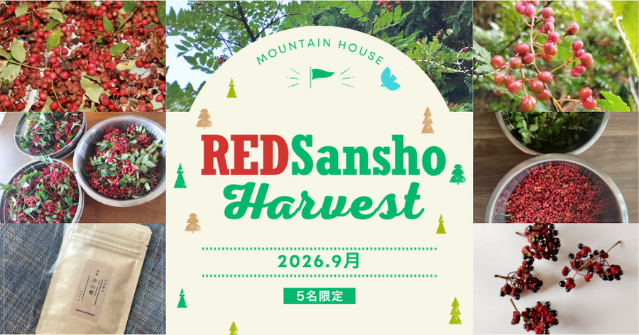 赤山椒の収穫体験|奈良・山添村の古民家で (2026年9月)