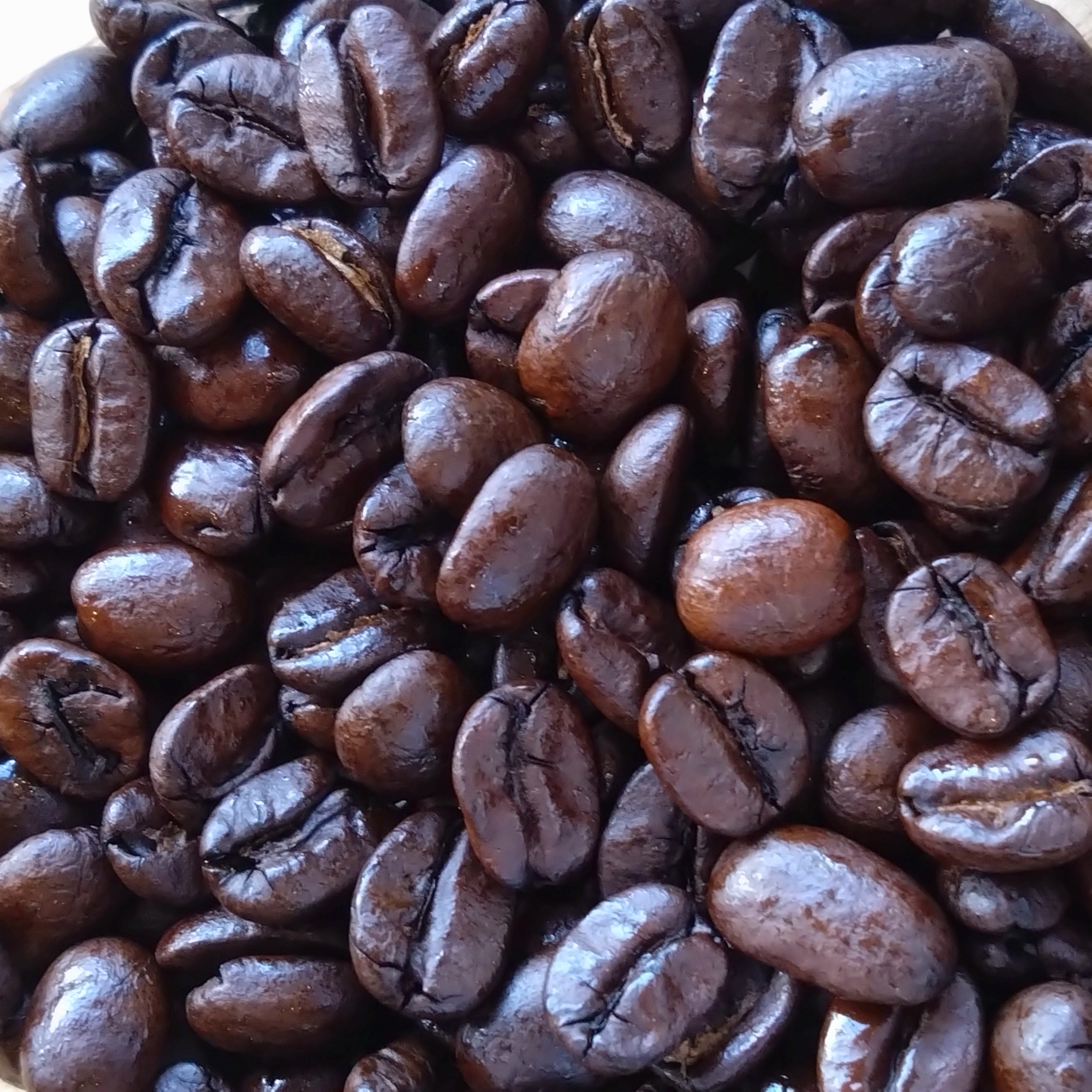 シーズナルブレンド【冬】のご紹介☕