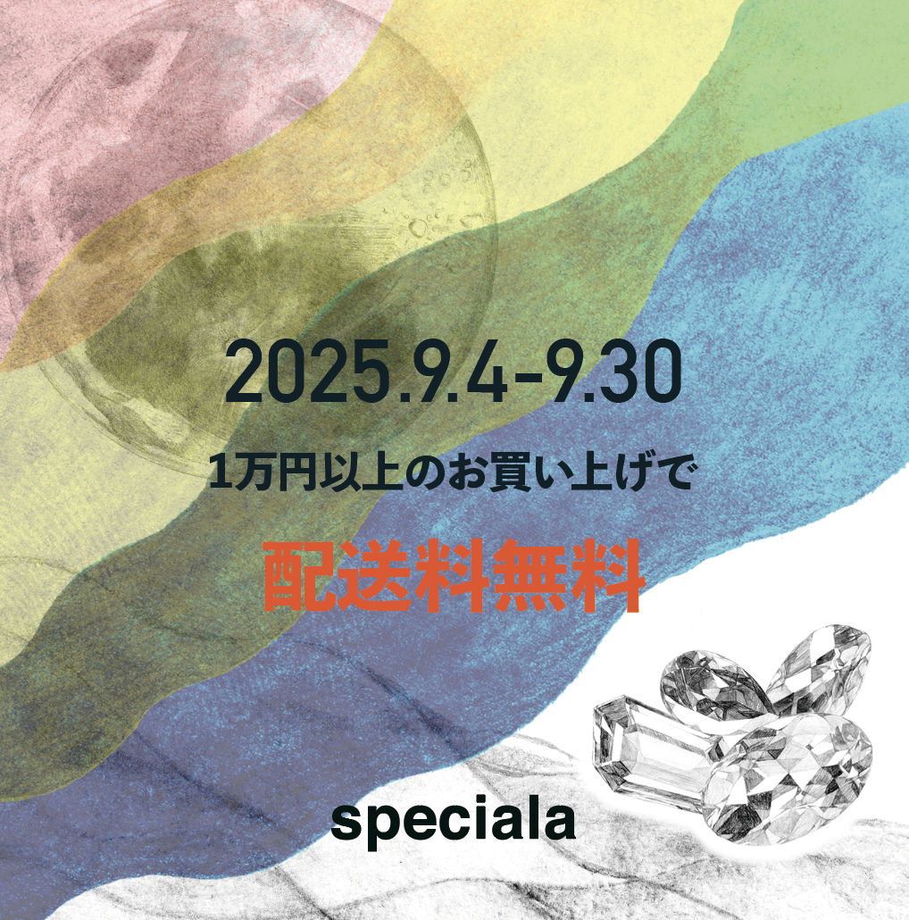 送料無料キャンペーン　やります