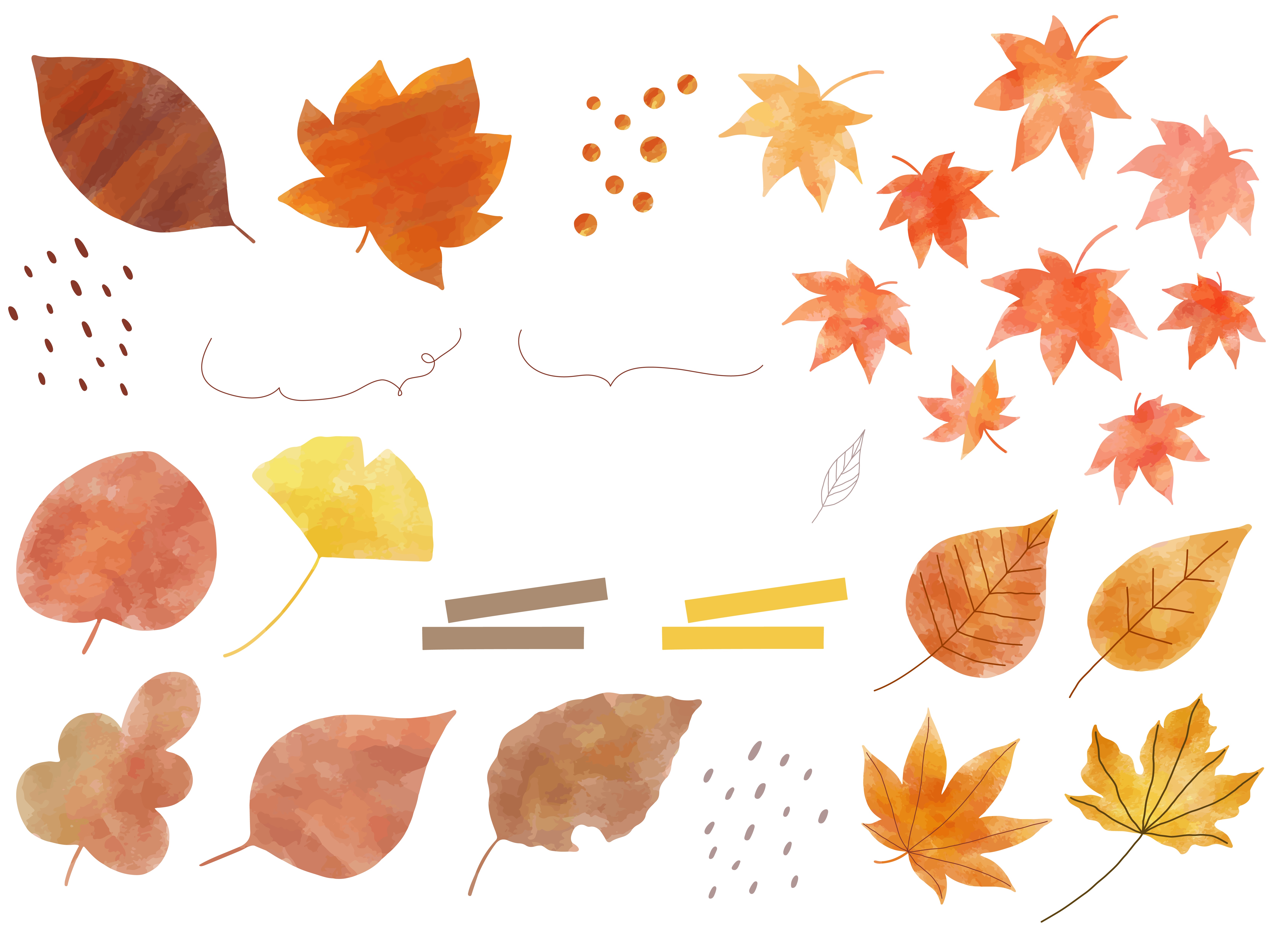 【秋は肺】アロマで心と肌に潤いを