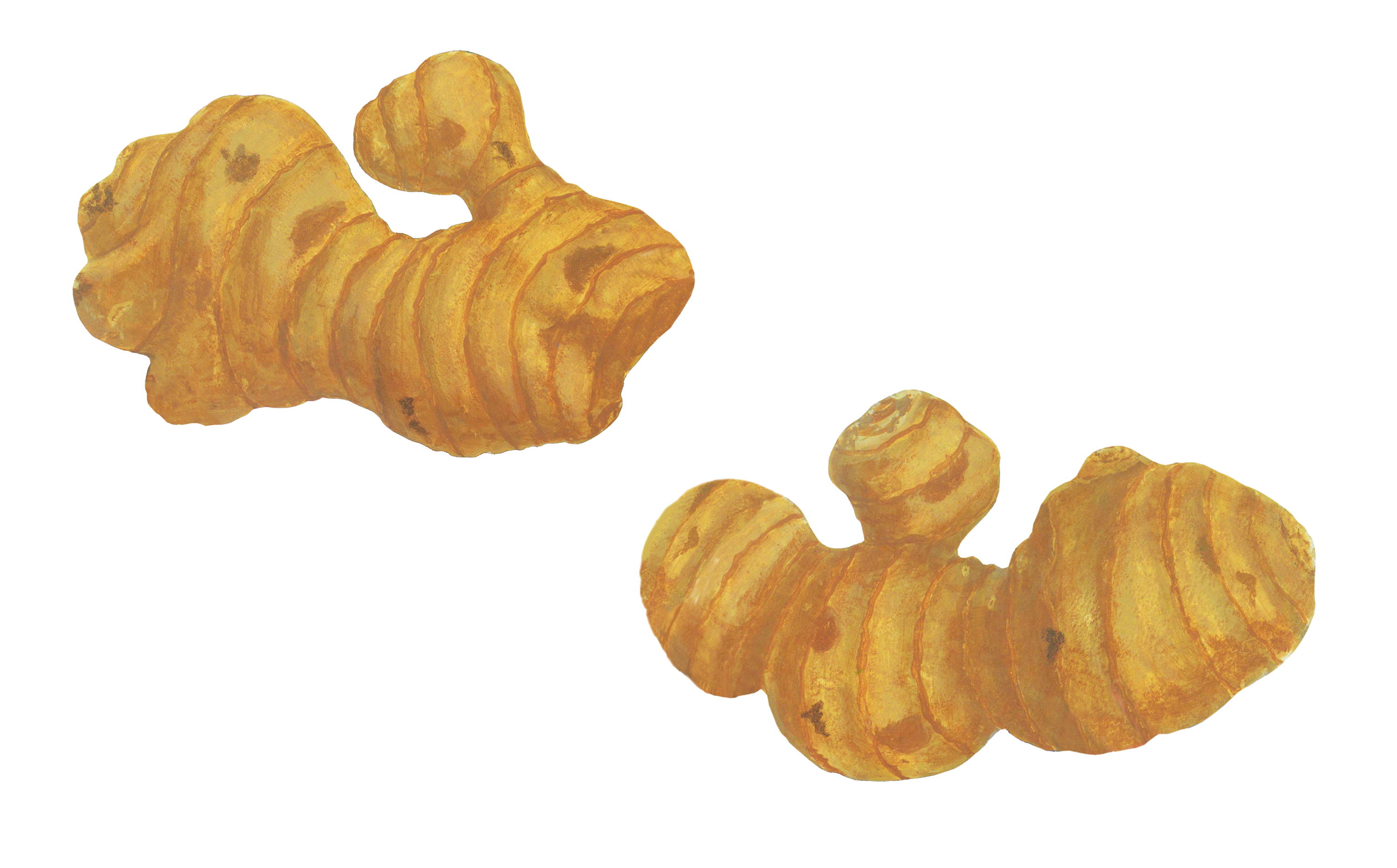 【冬の必需品】”しょうが”で食べる温活