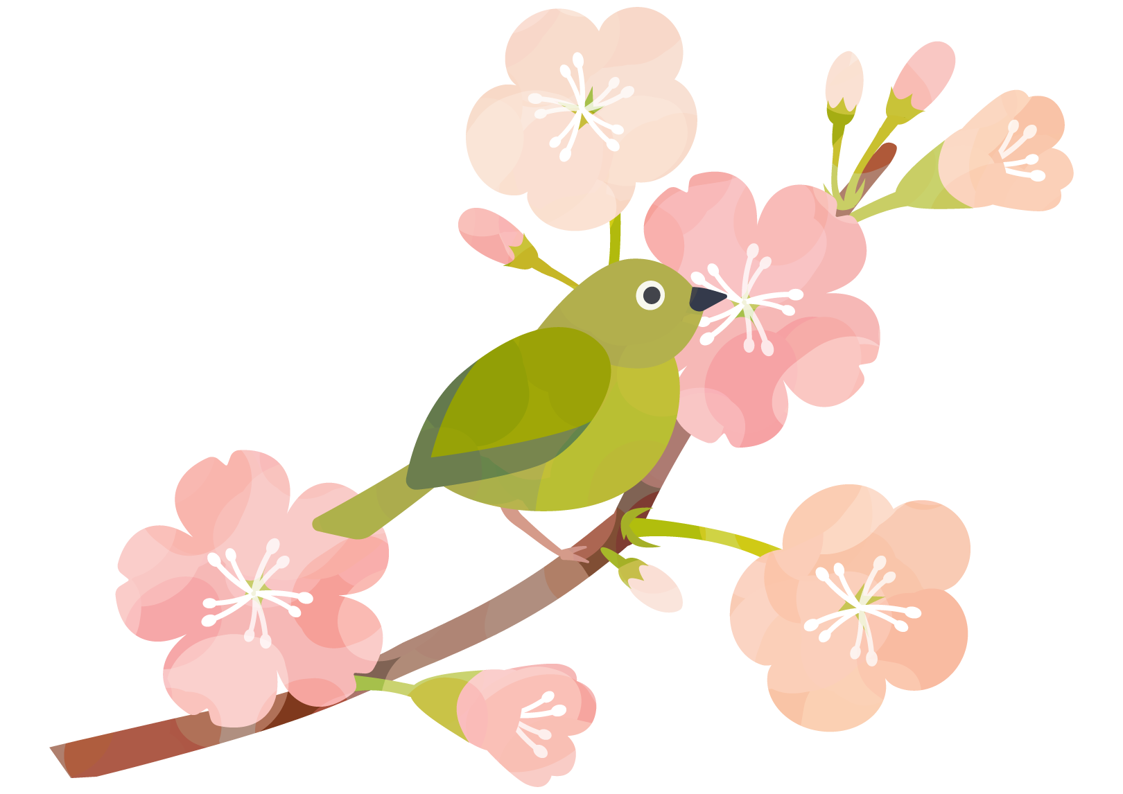 【春のスタート】アロマを取り入れてみませんか？