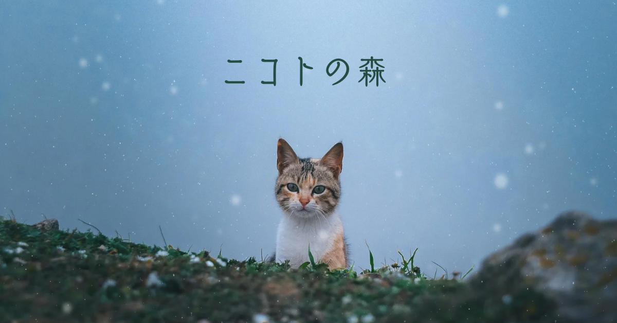 メンバーシップ ＜ニコトの森＞ 開設しました