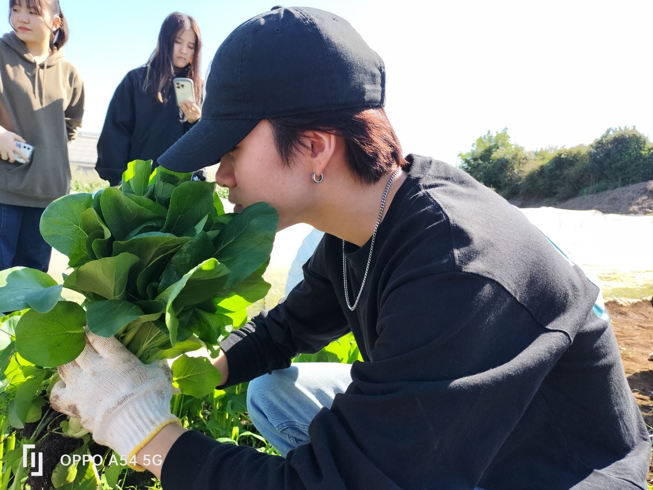 横浜野菜のメニューは、この日で最期