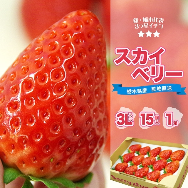 今シーズンの「スカイベリー」ネット注文受付は終了！