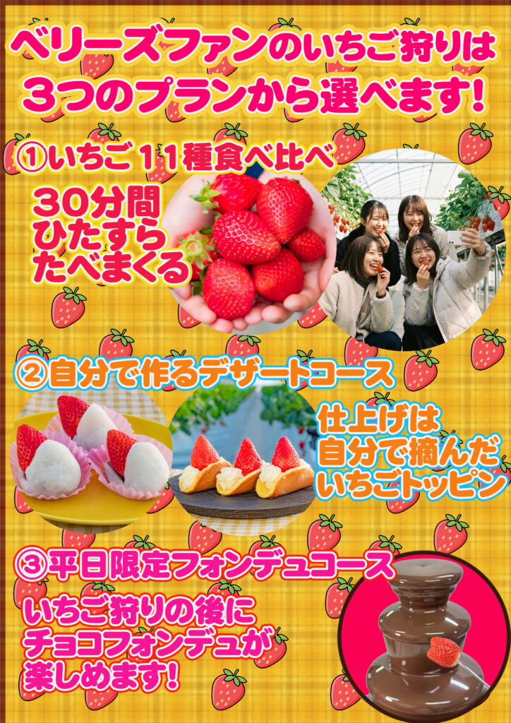 「いちご狩り」10周年ということで特別プランが新登場！