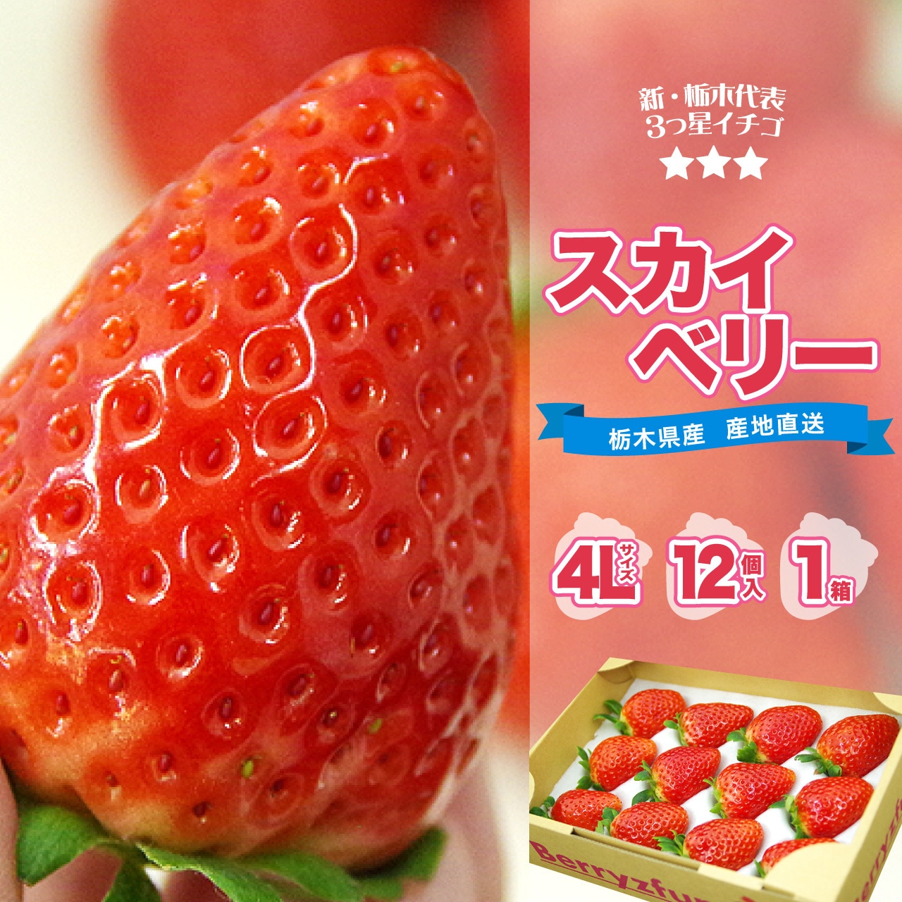 「スカイベリー」4Ｌサイズを11/30（土）から注文受付開始！