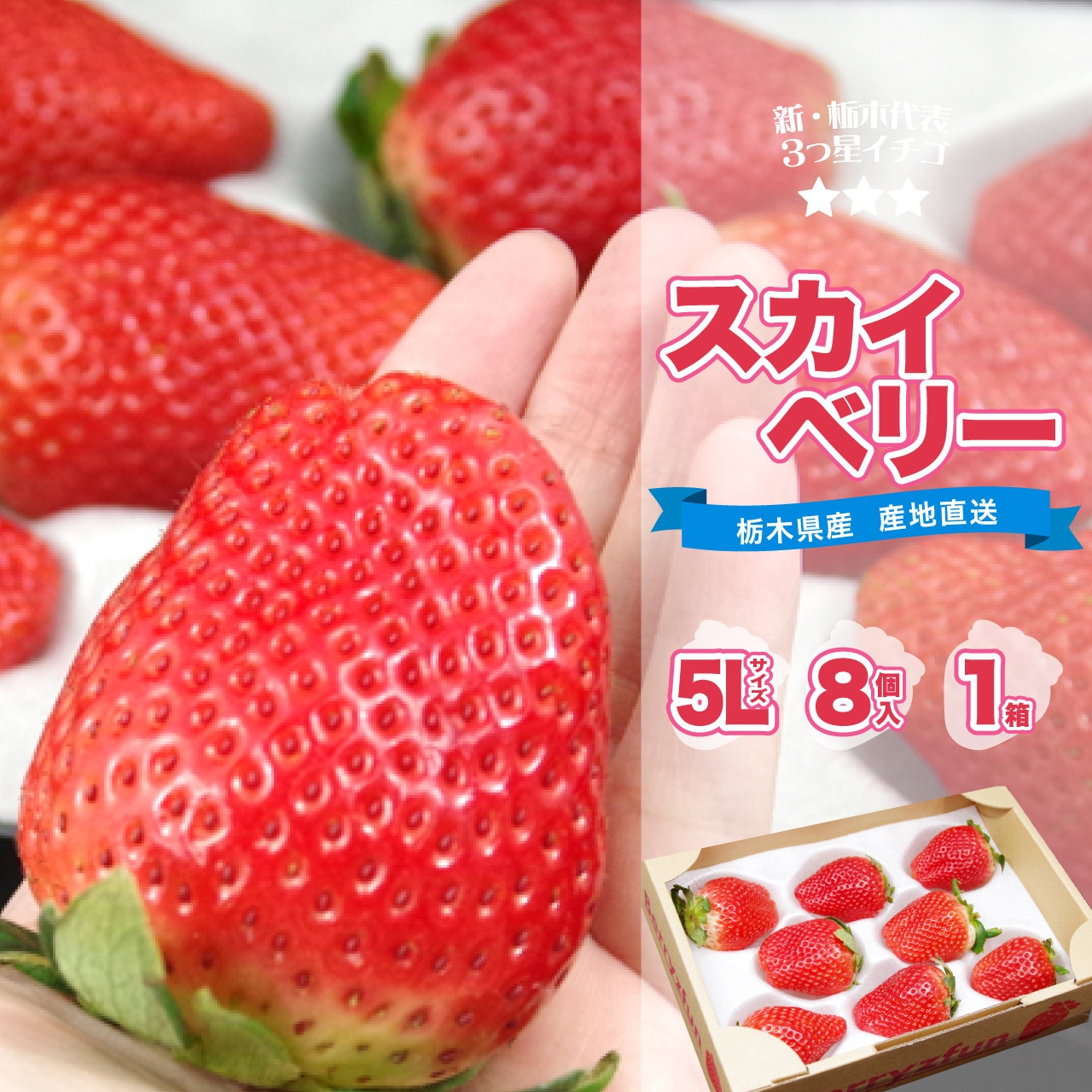 「スカイベリー 5L」 12/28から注文受付を開始!